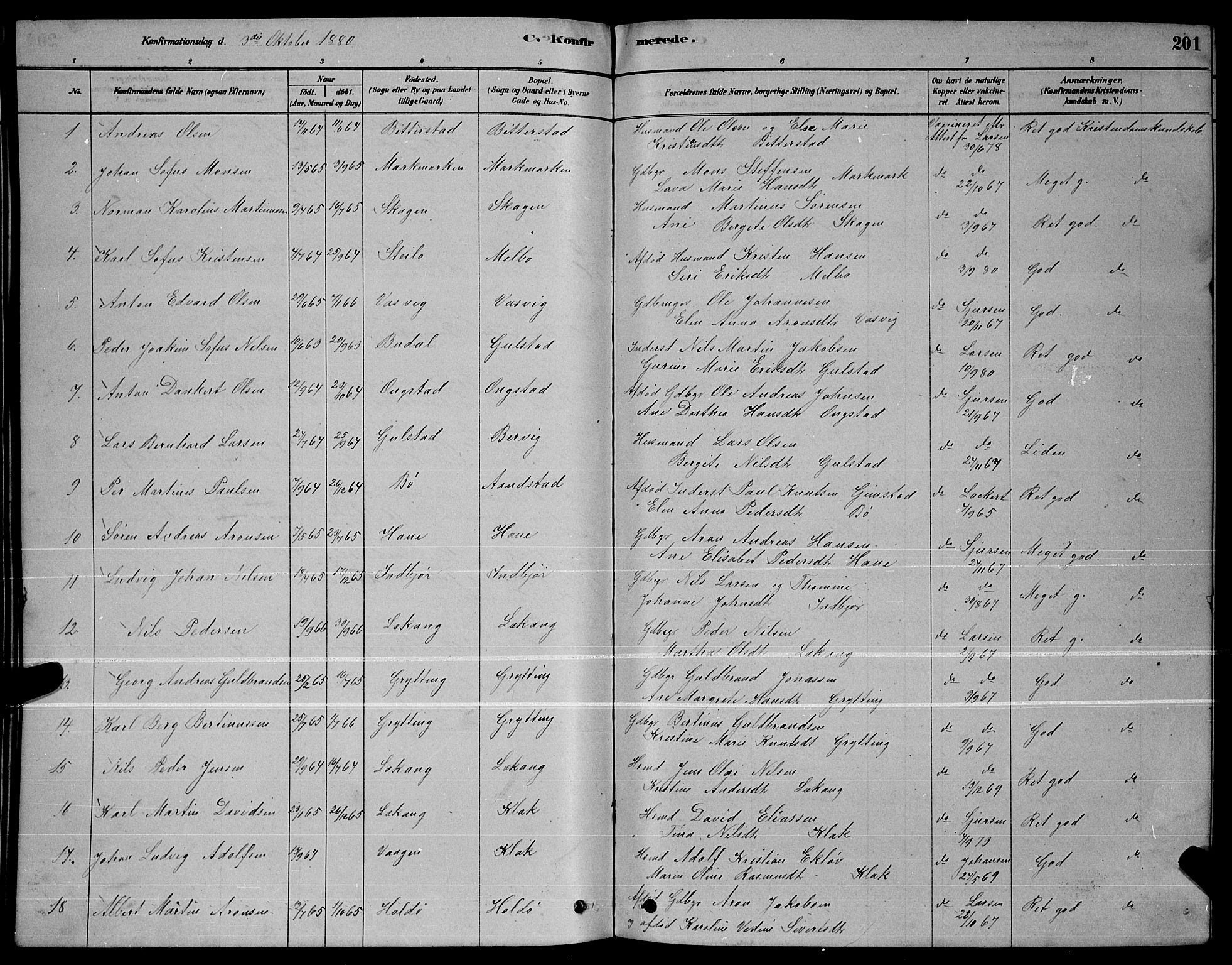 Ministerialprotokoller, klokkerbøker og fødselsregistre - Nordland, AV/SAT-A-1459/888/L1267: Parish register (copy) no. 888C05, 1878-1890, p. 201