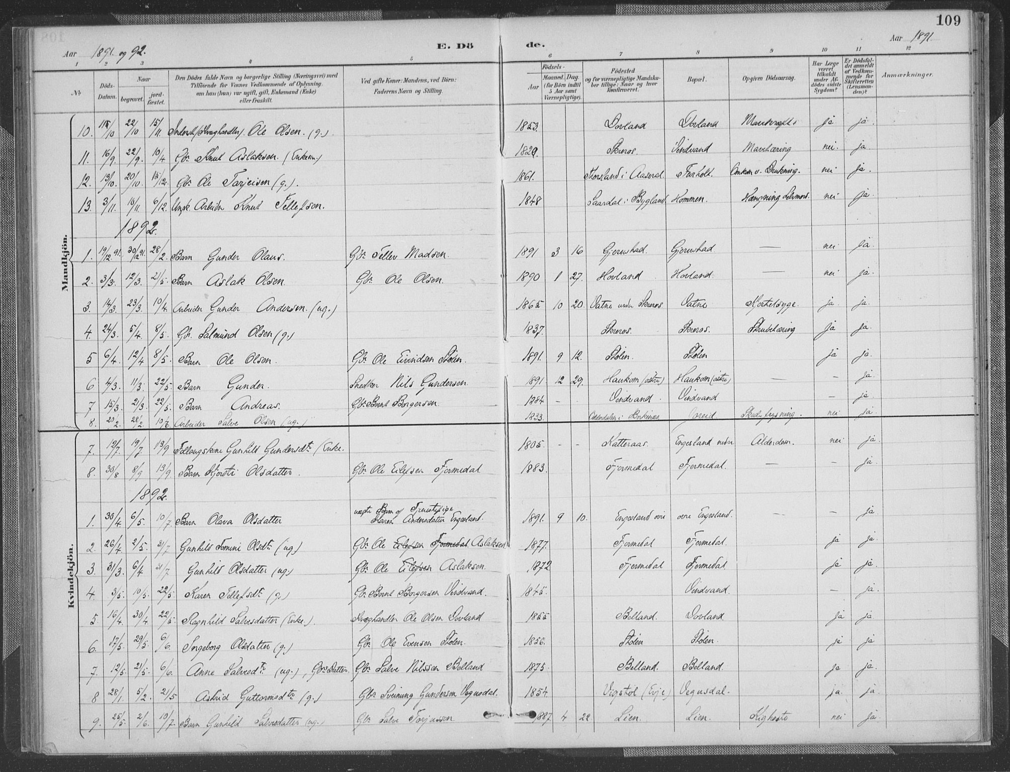 Herefoss sokneprestkontor, SAK/1111-0019/F/Fa/Fab/L0004: Parish register (official) no. A 4, 1887-1909, p. 109