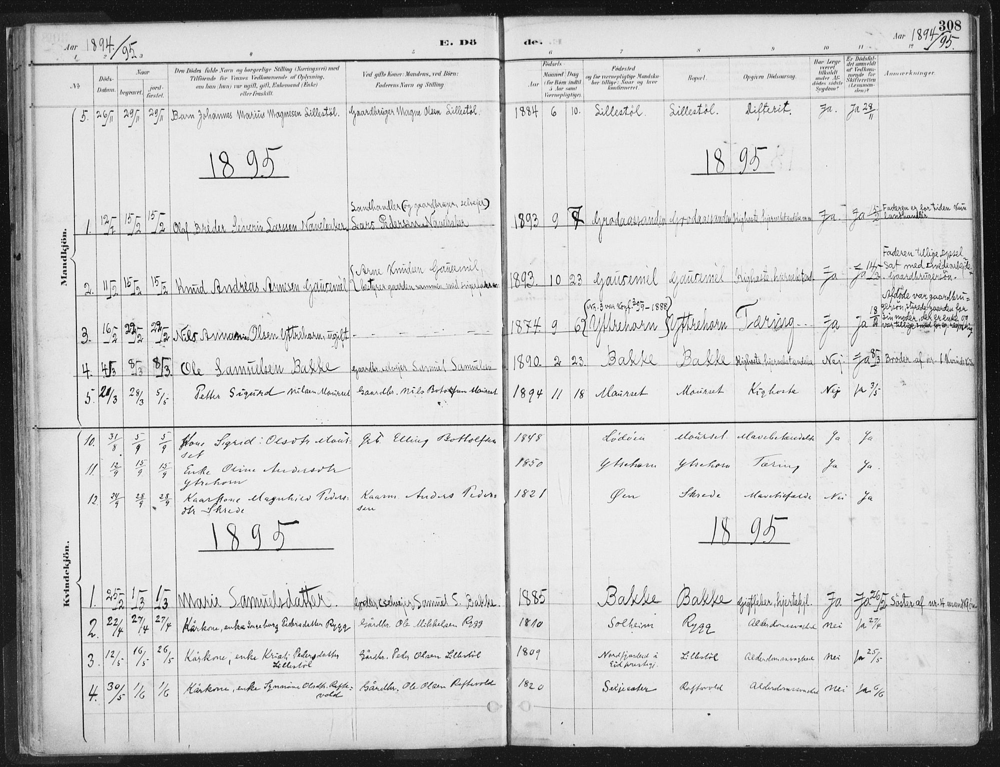 Hornindal sokneprestembete, SAB/A-82401/H/Haa/Haaa/L0003/0002: Parish register (official) no. A 3B, 1885-1917, p. 308