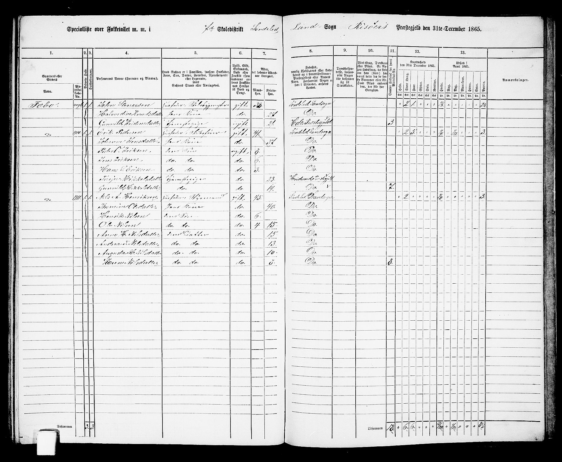 RA, 1865 census for Risør/Søndeled, 1865, p. 143