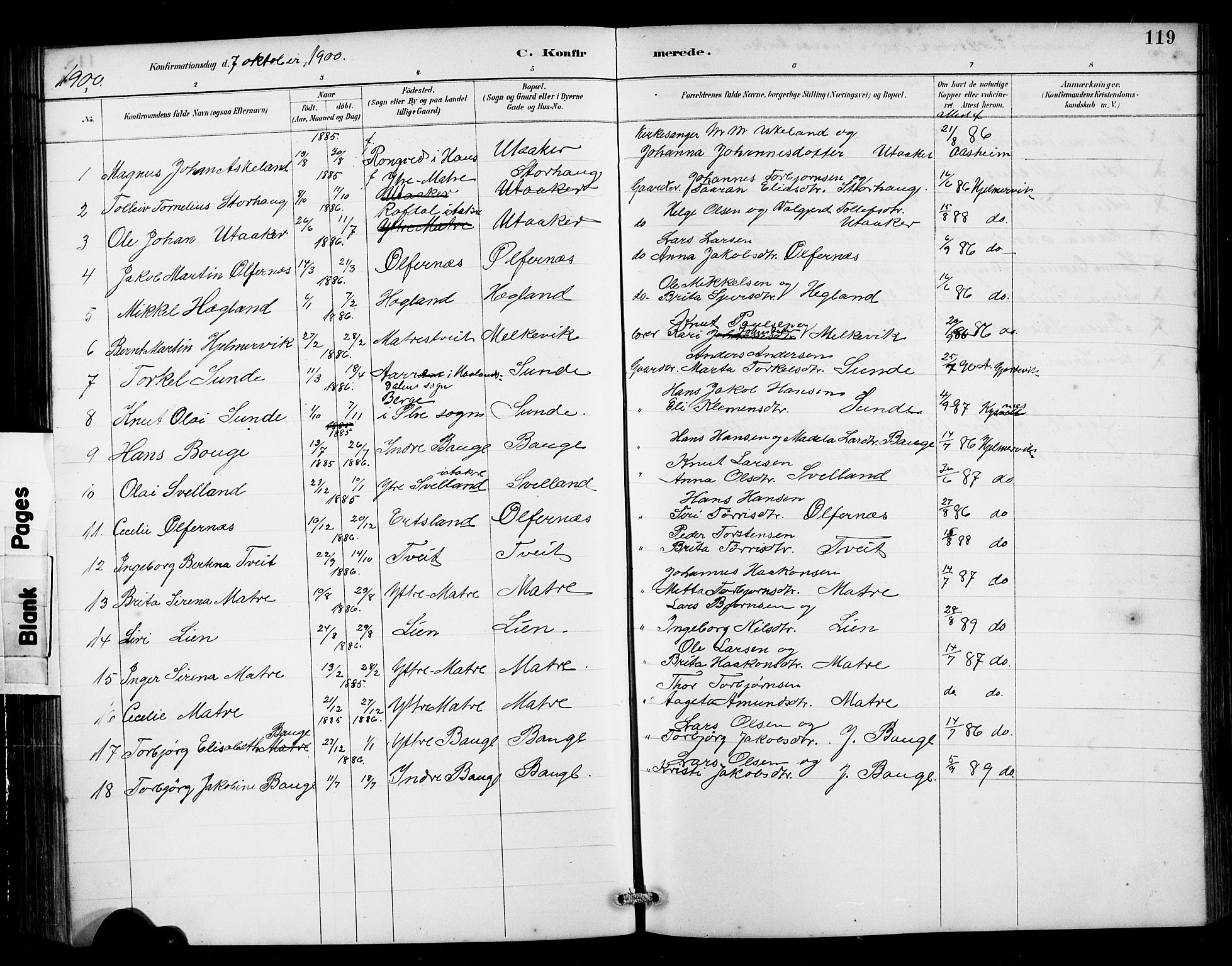 Husnes Sokneprestembete, SAB/A-75901/H/Hab: Parish register (copy) no. B 2, 1884-1914, p. 119