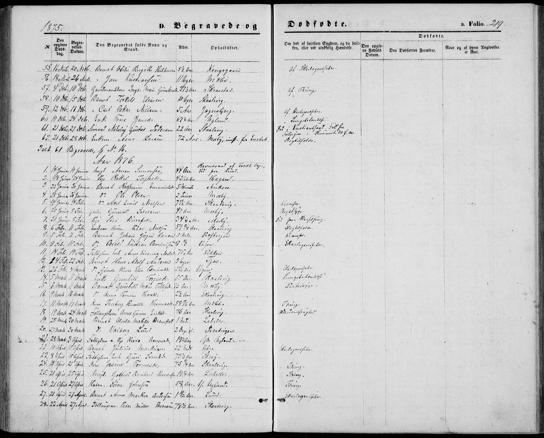 Oddernes sokneprestkontor, SAK/1111-0033/F/Fb/Fba/L0007: Parish register (copy) no. B 7, 1869-1887, p. 219
