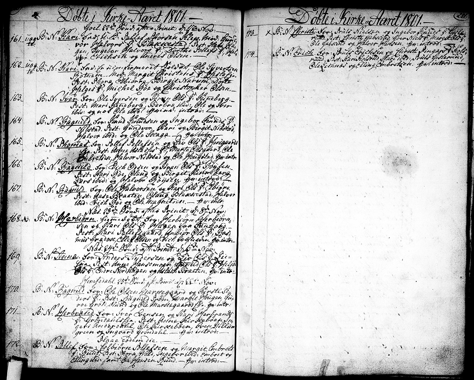 Nes kirkebøker, AV/SAKO-A-236/F/Fa/L0005: Parish register (official) no. 5, 1787-1807, p. 250-251