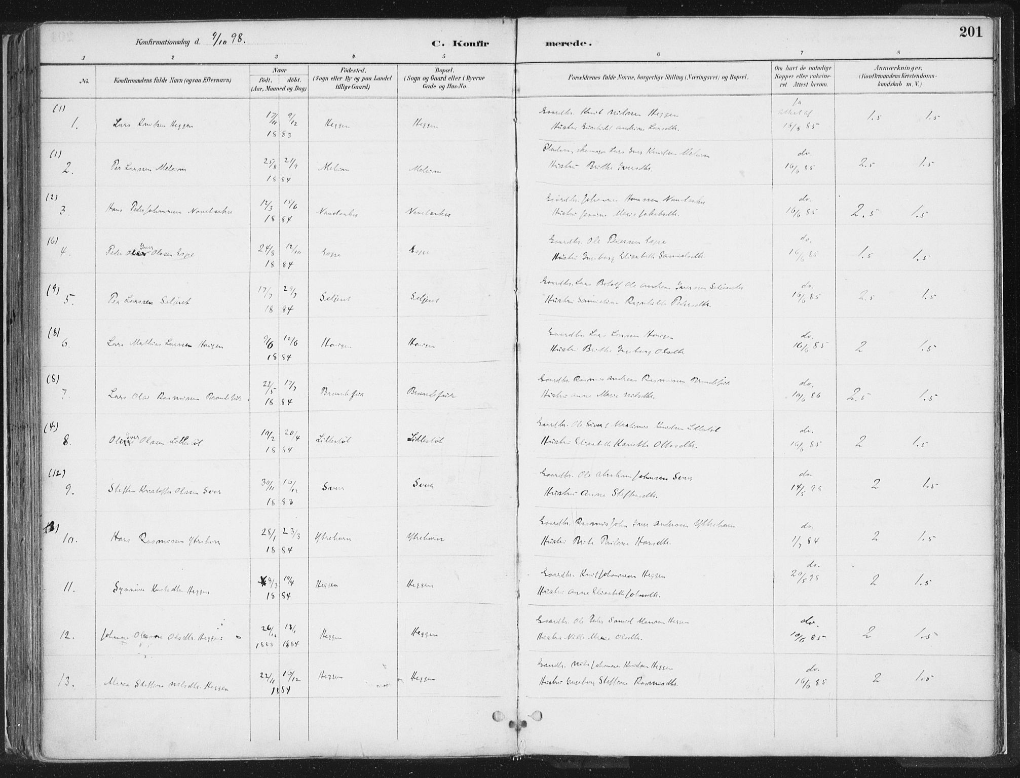 Hornindal sokneprestembete, AV/SAB-A-82401/H/Haa/Haaa/L0003/0001: Parish register (official) no. A 3A, 1887-1917, p. 201