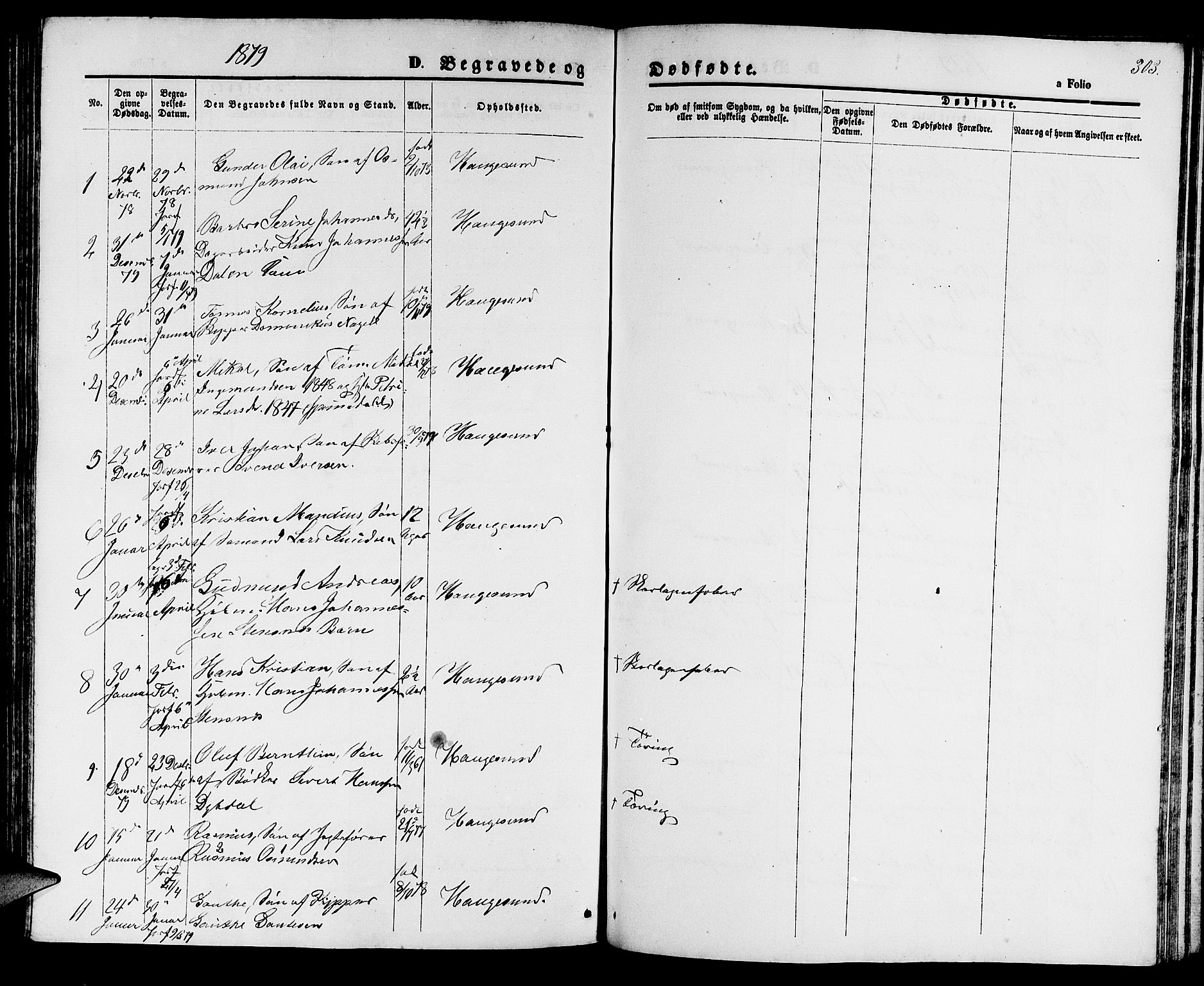 Haugesund sokneprestkontor, AV/SAST-A -101863/H/Ha/Hab/L0001: Parish register (copy) no. B 1, 1873-1881, p. 303