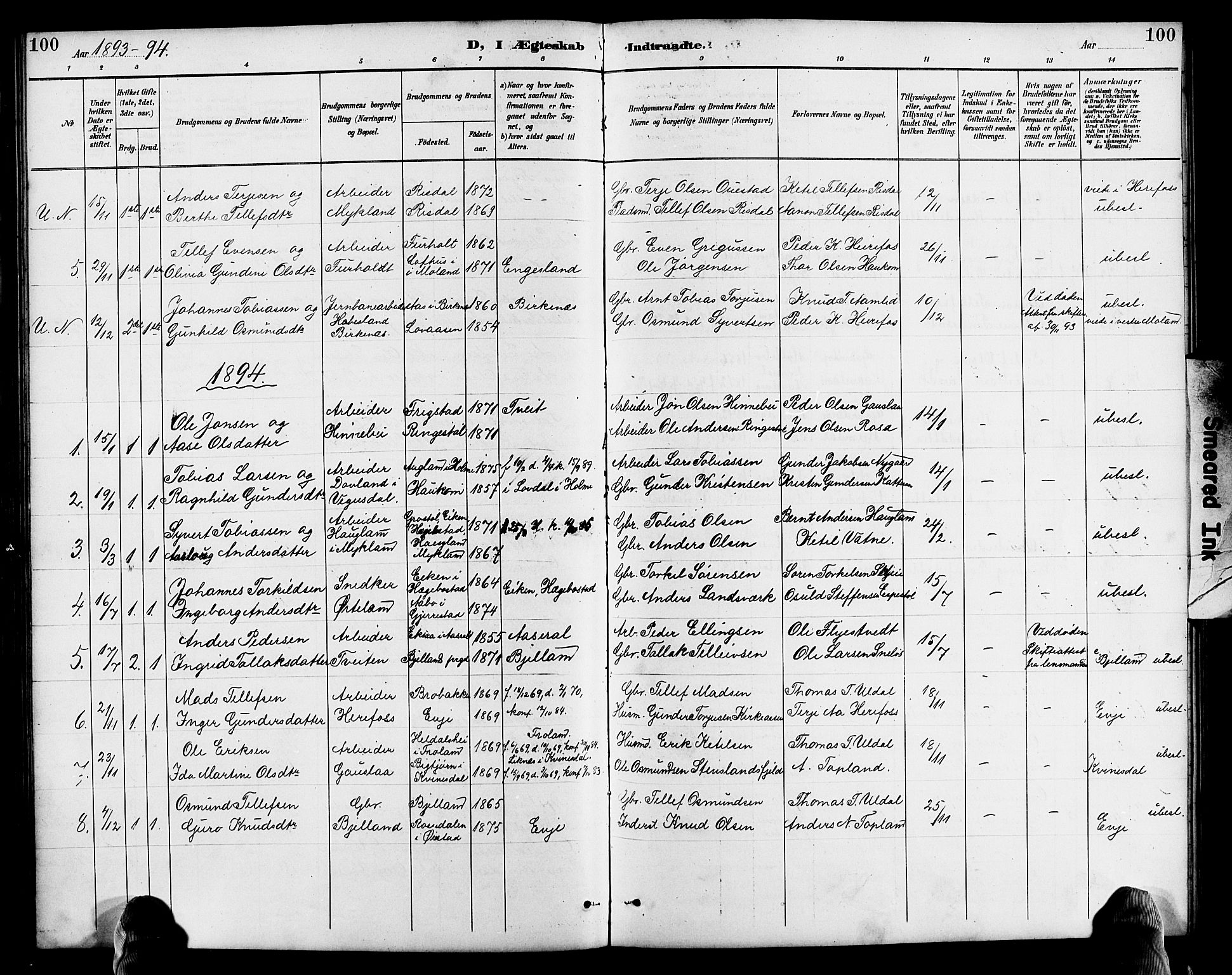 Herefoss sokneprestkontor, AV/SAK-1111-0019/F/Fb/Fba/L0003: Parish register (copy) no. B 3, 1887-1925, p. 100