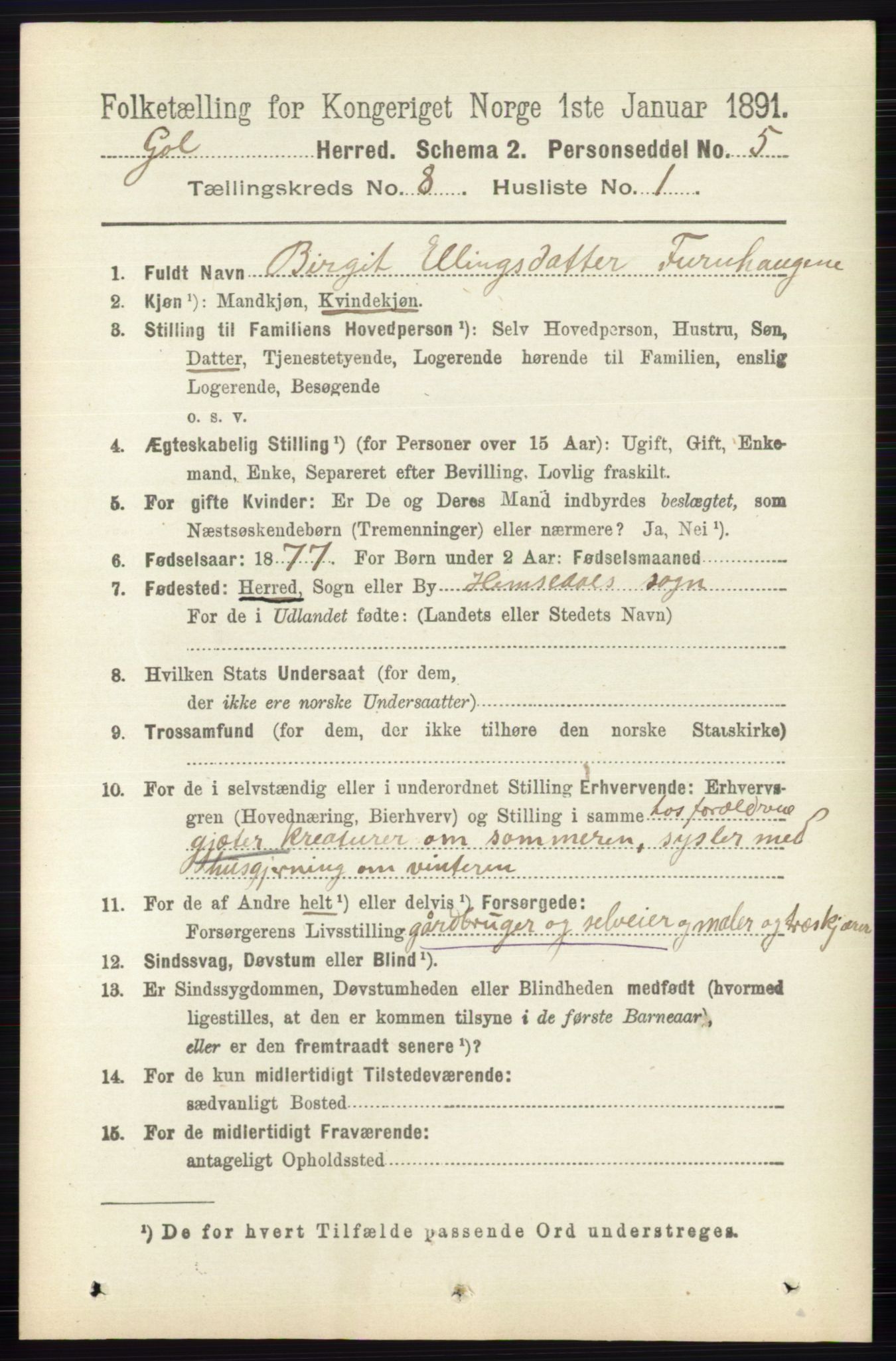 RA, 1891 census for 0617 Gol og Hemsedal, 1891, p. 3039