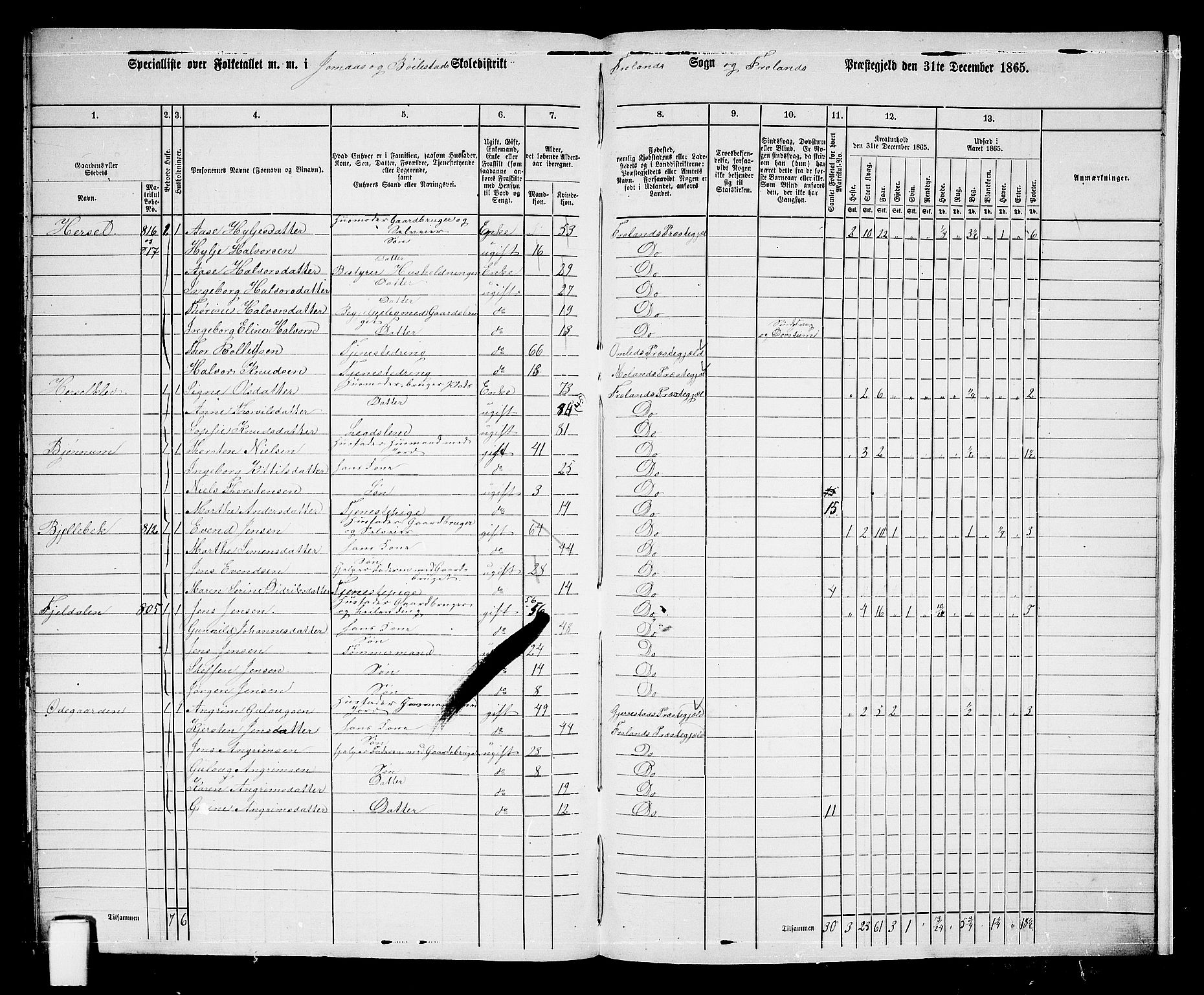 RA, 1865 census for Froland, 1865, p. 96