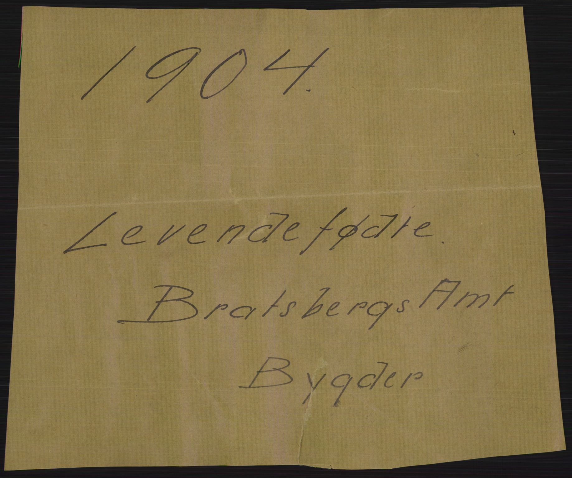 Statistisk sentralbyrå, Sosiodemografiske emner, Befolkning, AV/RA-S-2228/D/Df/Dfa/Dfab/L0009: Bratsberg amt: Fødte, gifte, døde, 1904, p. 1
