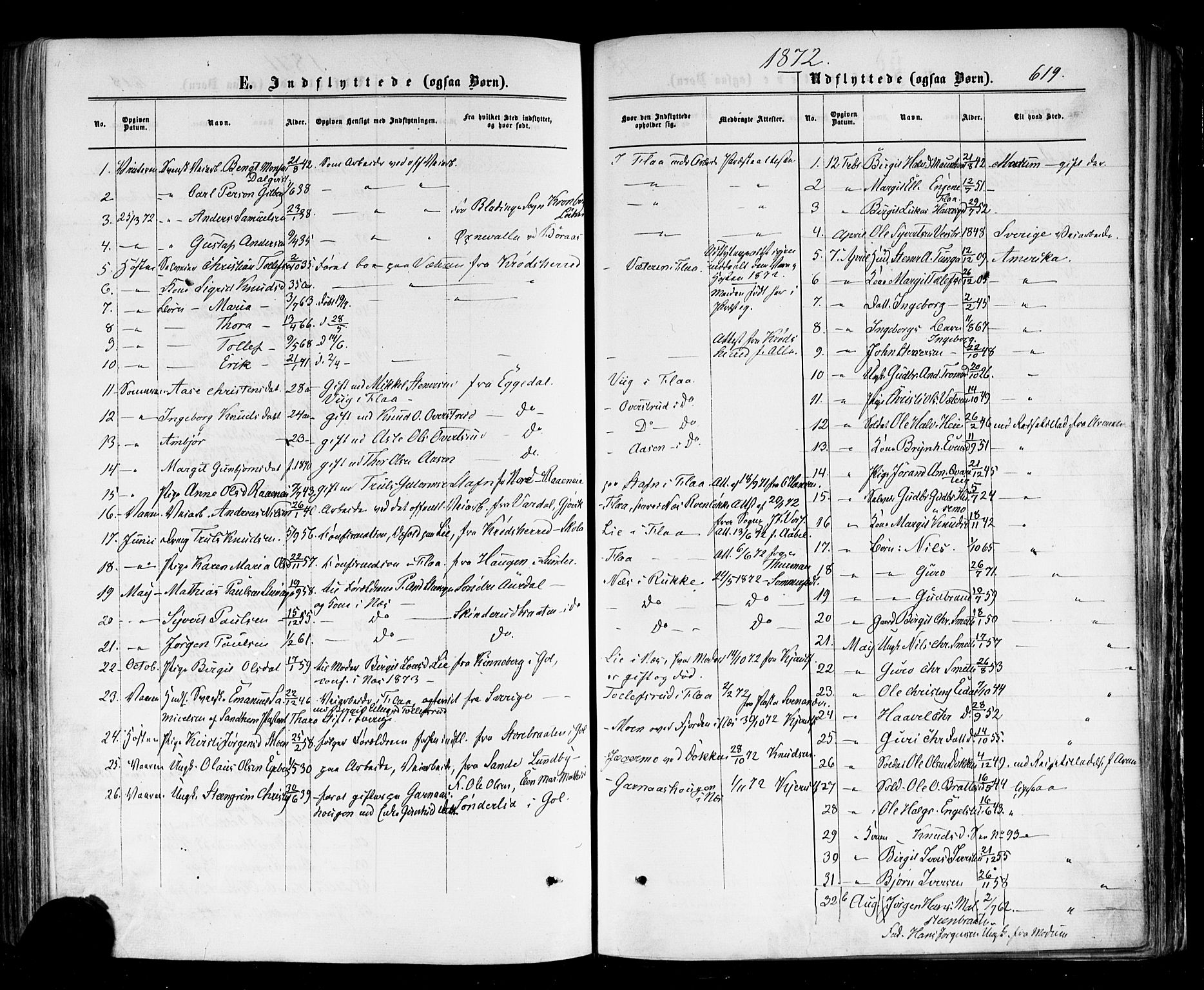 Nes kirkebøker, SAKO/A-236/F/Fa/L0010: Parish register (official) no. 10, 1864-1880, p. 619
