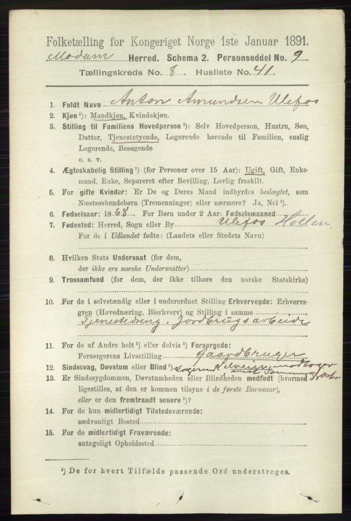 RA, 1891 census for 0623 Modum, 1891, p. 3107