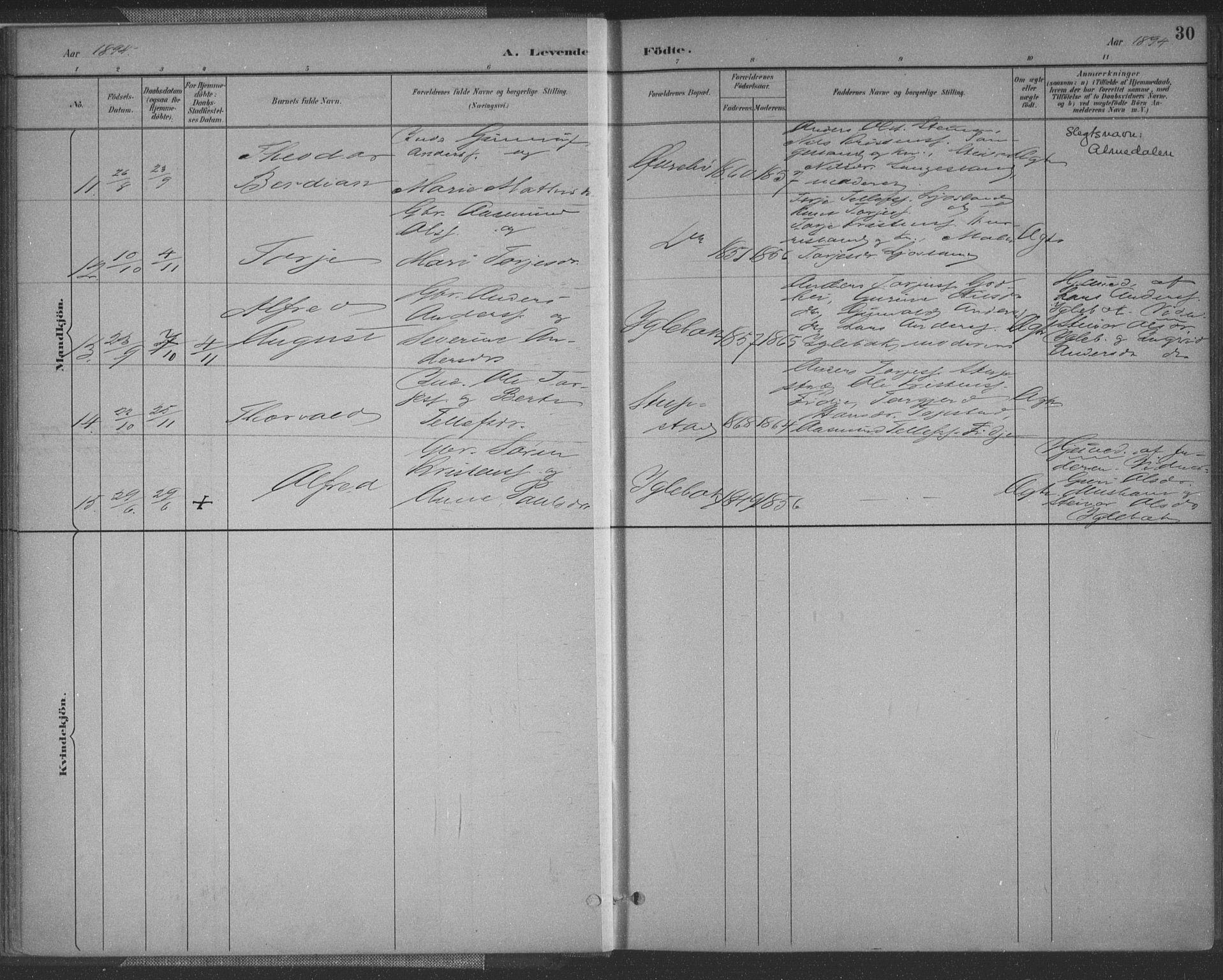 Vennesla sokneprestkontor, SAK/1111-0045/Fa/Fac/L0009: Parish register (official) no. A 9, 1884-1901, p. 30