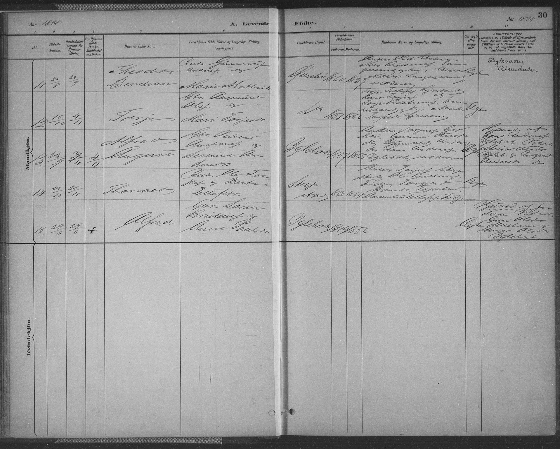 Vennesla sokneprestkontor, AV/SAK-1111-0045/Fa/Fac/L0009: Parish register (official) no. A 9, 1884-1901, p. 30