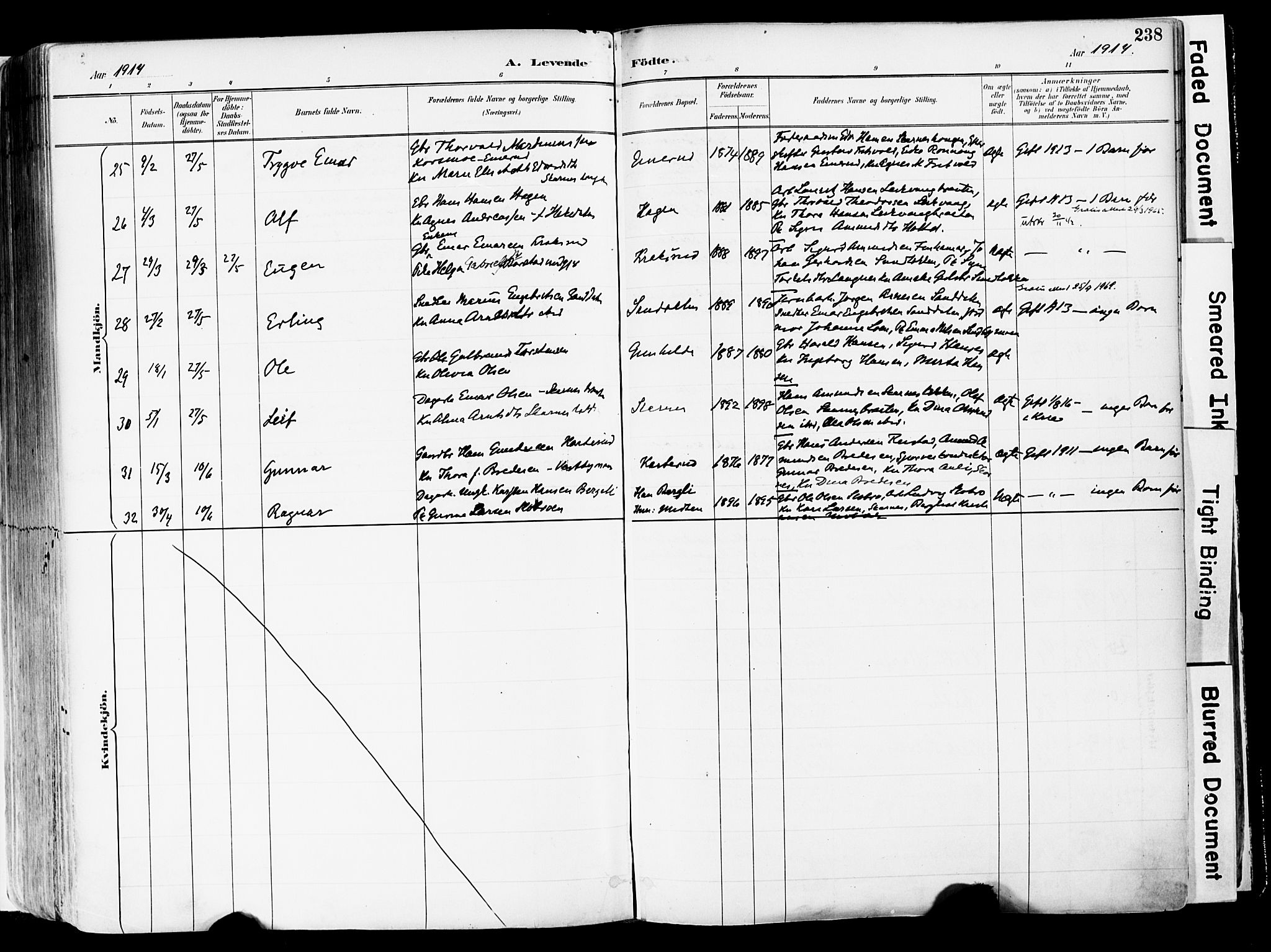 Sør-Odal prestekontor, SAH/PREST-030/H/Ha/Haa/L0006: Parish register (official) no. 6, 1886-1931, p. 238