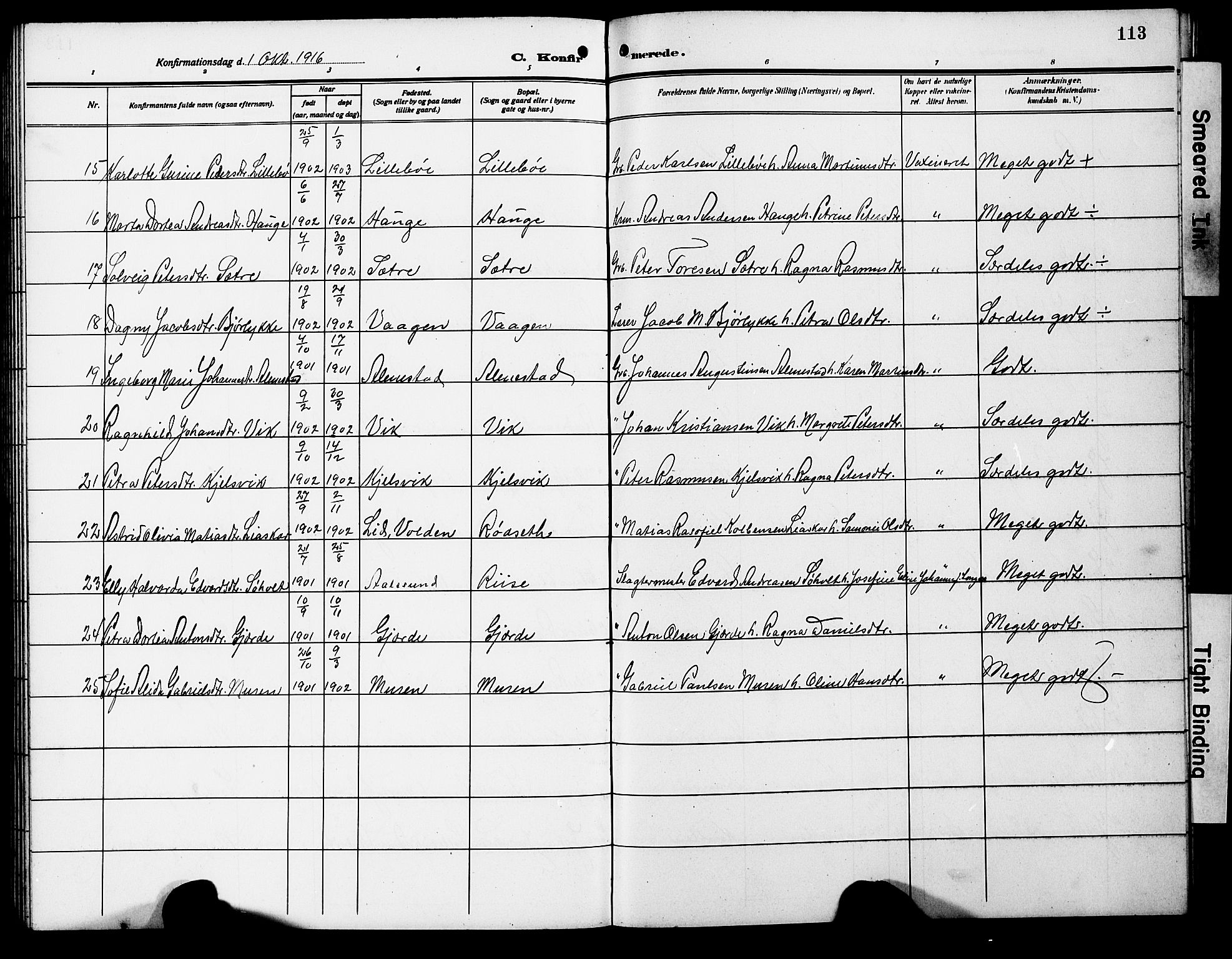 Ministerialprotokoller, klokkerbøker og fødselsregistre - Møre og Romsdal, AV/SAT-A-1454/503/L0050: Parish register (copy) no. 503C05, 1909-1922, p. 113