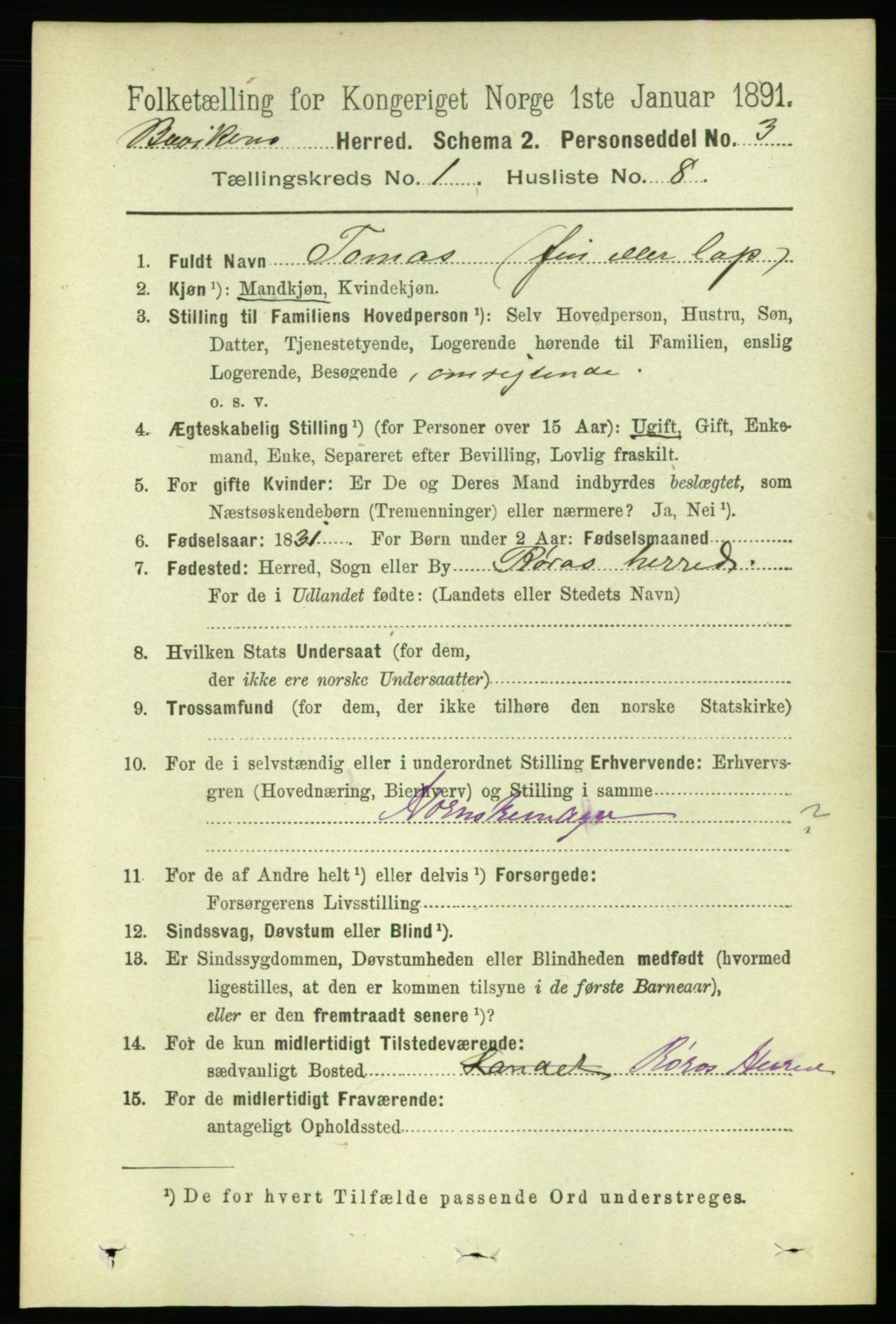 RA, 1891 census for 1656 Buvik, 1891, p. 133