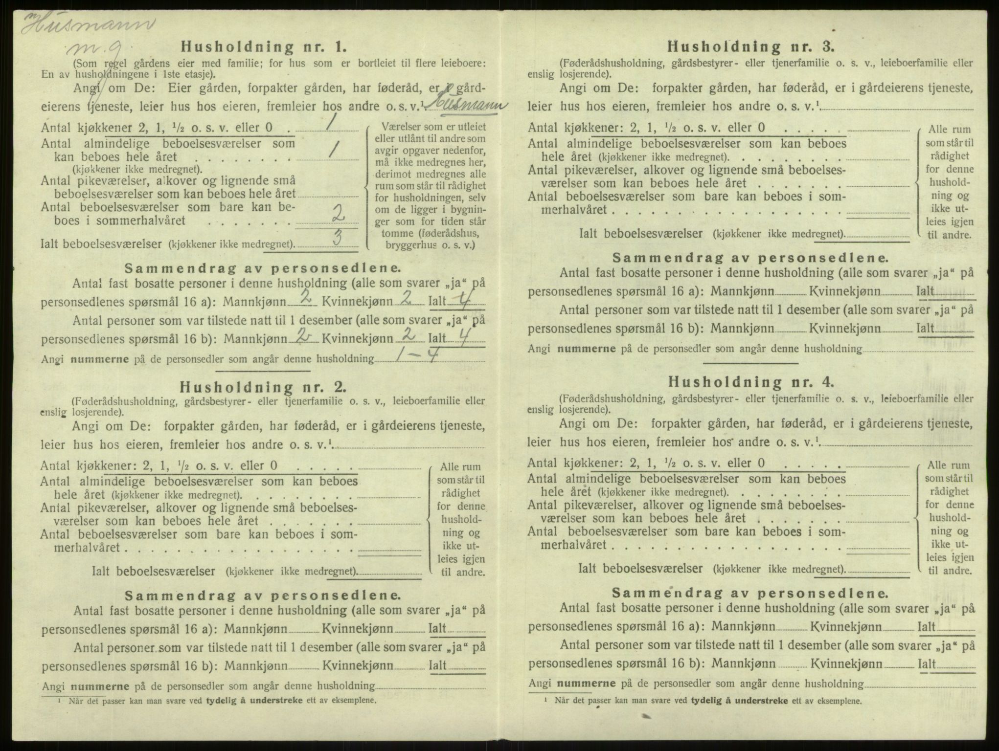 SAB, 1920 census for Lærdal, 1920, p. 784