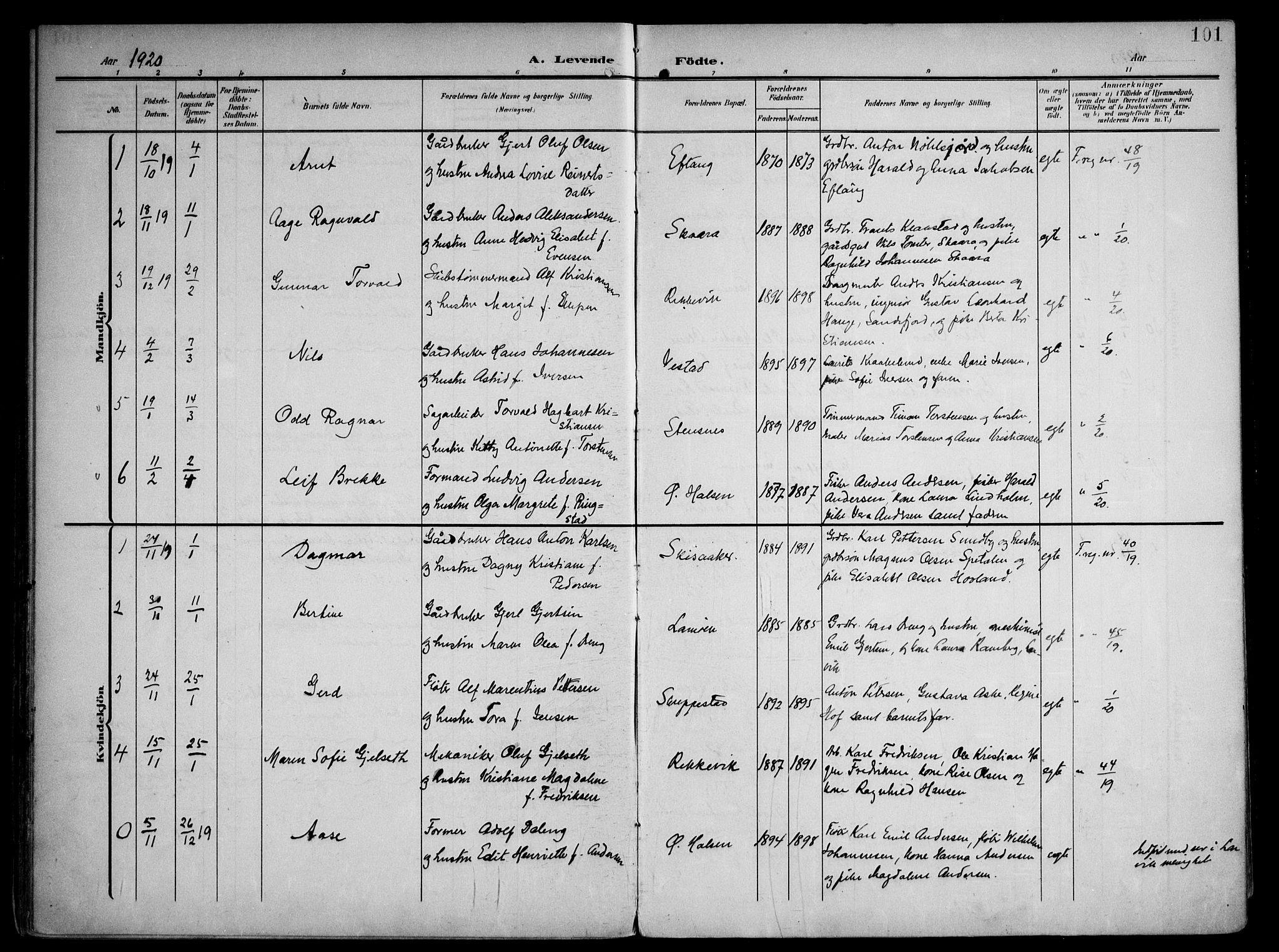 Tjølling kirkebøker, AV/SAKO-A-60/F/Fa/L0010: Parish register (official) no. 10, 1906-1923, p. 101