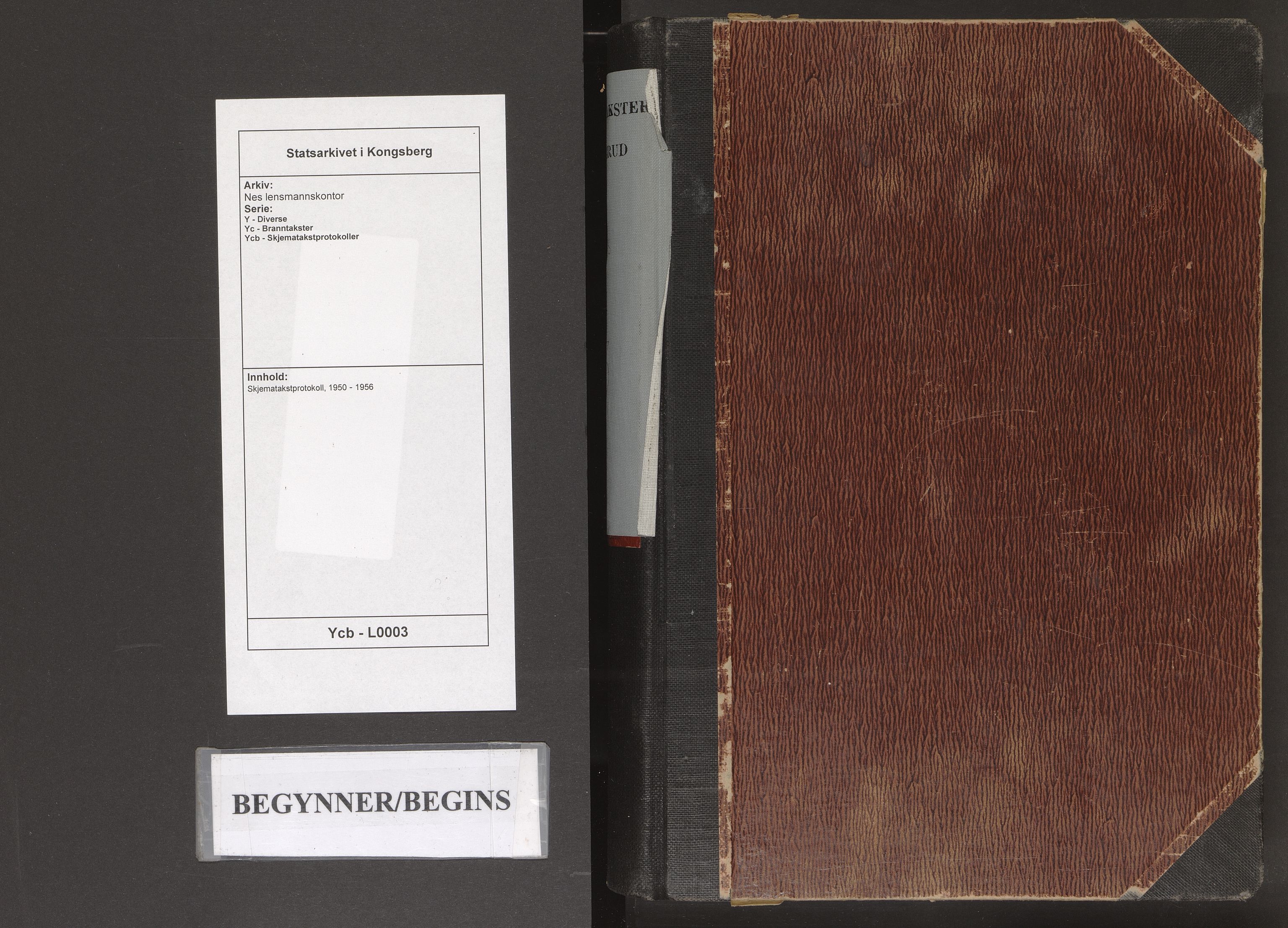 Nes lensmannskontor, AV/SAKO-A-525/Y/Yc/Ycb/L0003: Skjematakstprotokoll, 1950-1956