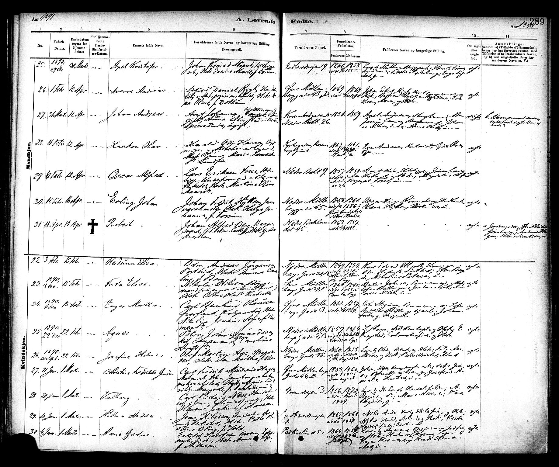 Ministerialprotokoller, klokkerbøker og fødselsregistre - Sør-Trøndelag, SAT/A-1456/604/L0188: Parish register (official) no. 604A09, 1878-1892, p. 289