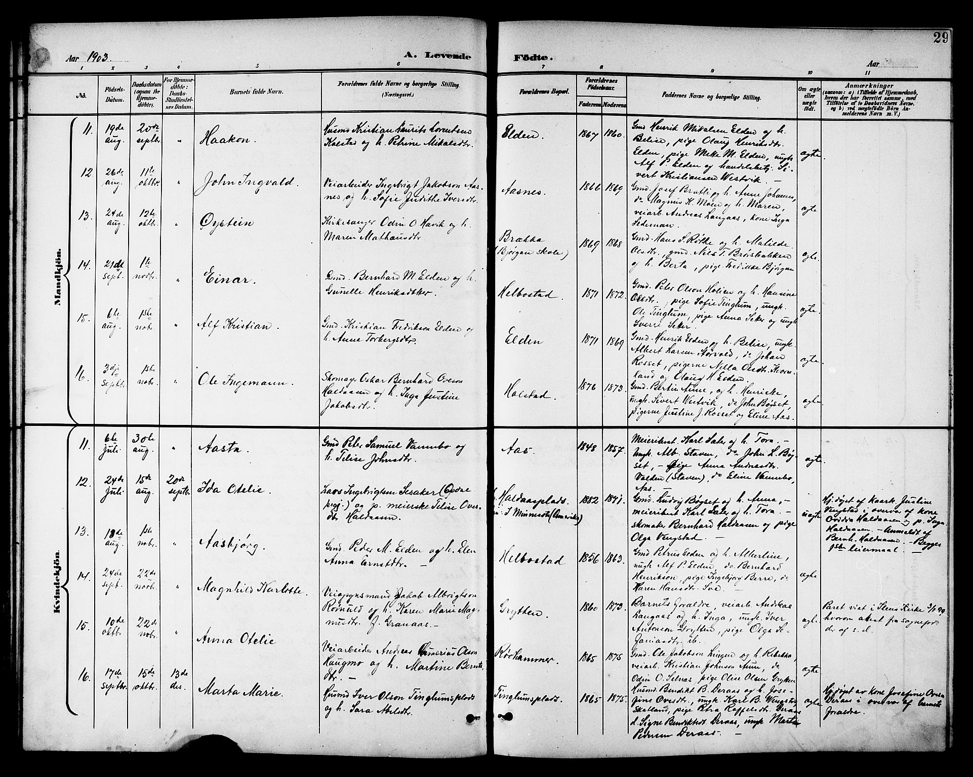 Ministerialprotokoller, klokkerbøker og fødselsregistre - Nord-Trøndelag, AV/SAT-A-1458/742/L0412: Parish register (copy) no. 742C03, 1898-1910, p. 29