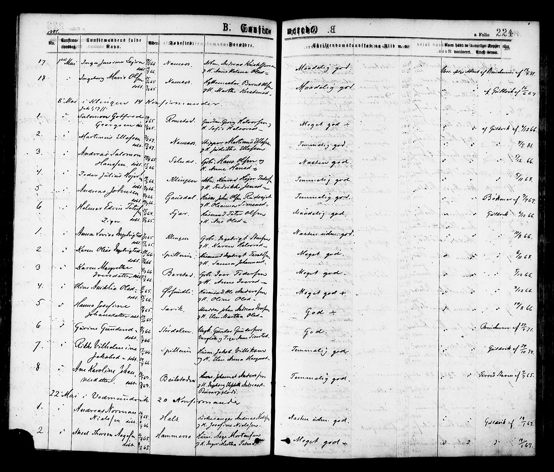 Ministerialprotokoller, klokkerbøker og fødselsregistre - Nord-Trøndelag, AV/SAT-A-1458/768/L0572: Parish register (official) no. 768A07, 1874-1886, p. 224