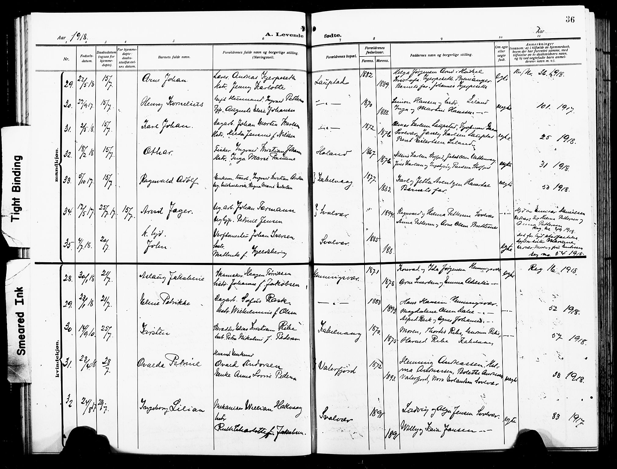 Ministerialprotokoller, klokkerbøker og fødselsregistre - Nordland, AV/SAT-A-1459/874/L1080: Parish register (copy) no. 874C09, 1915-1925, p. 36