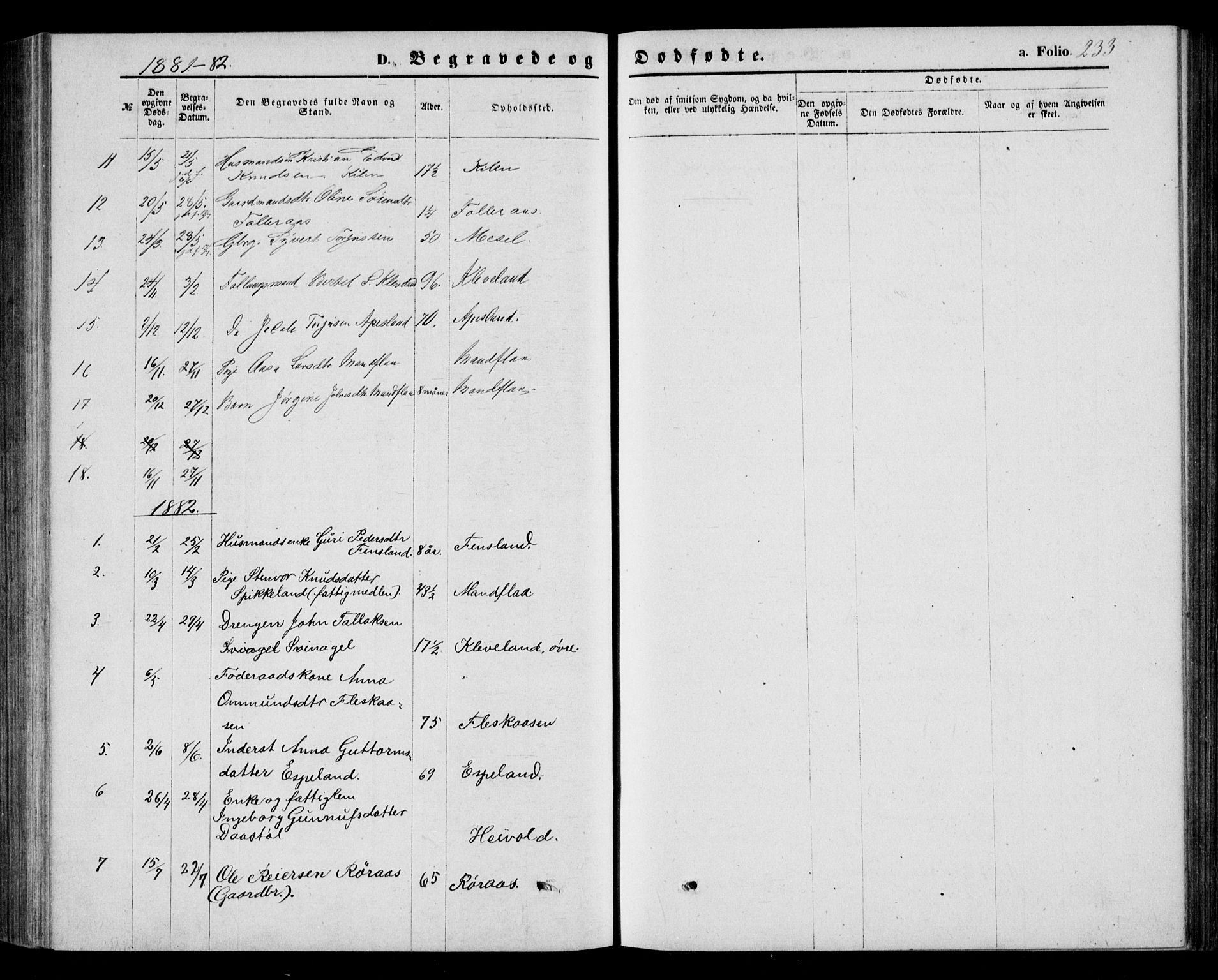 Bjelland sokneprestkontor, AV/SAK-1111-0005/F/Fb/Fbb/L0004: Parish register (copy) no. B 4, 1867-1887, p. 233