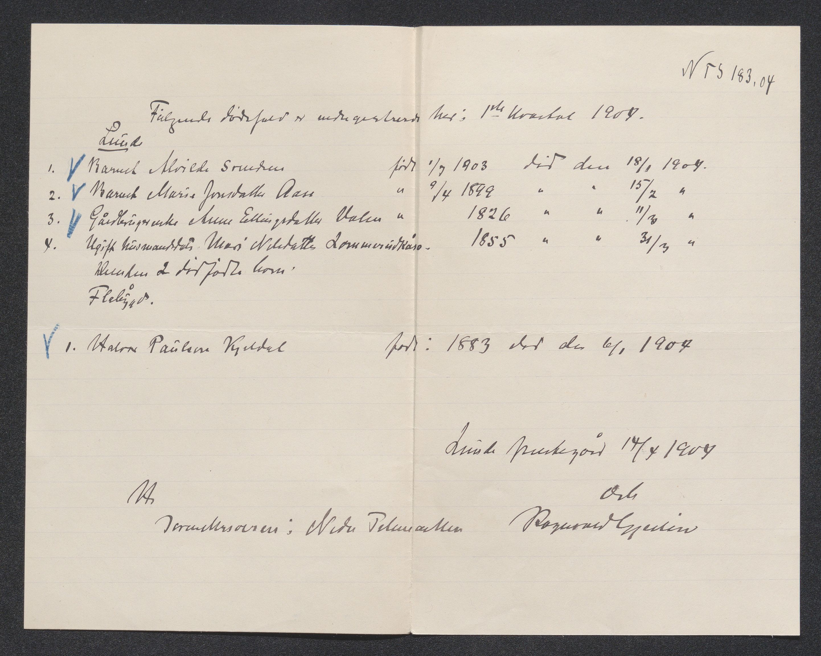 Nedre Telemark sorenskriveri, AV/SAKO-A-135/H/Ha/Hab/L0004: Dødsfallsfortegnelser
, 1904-1910, p. 2