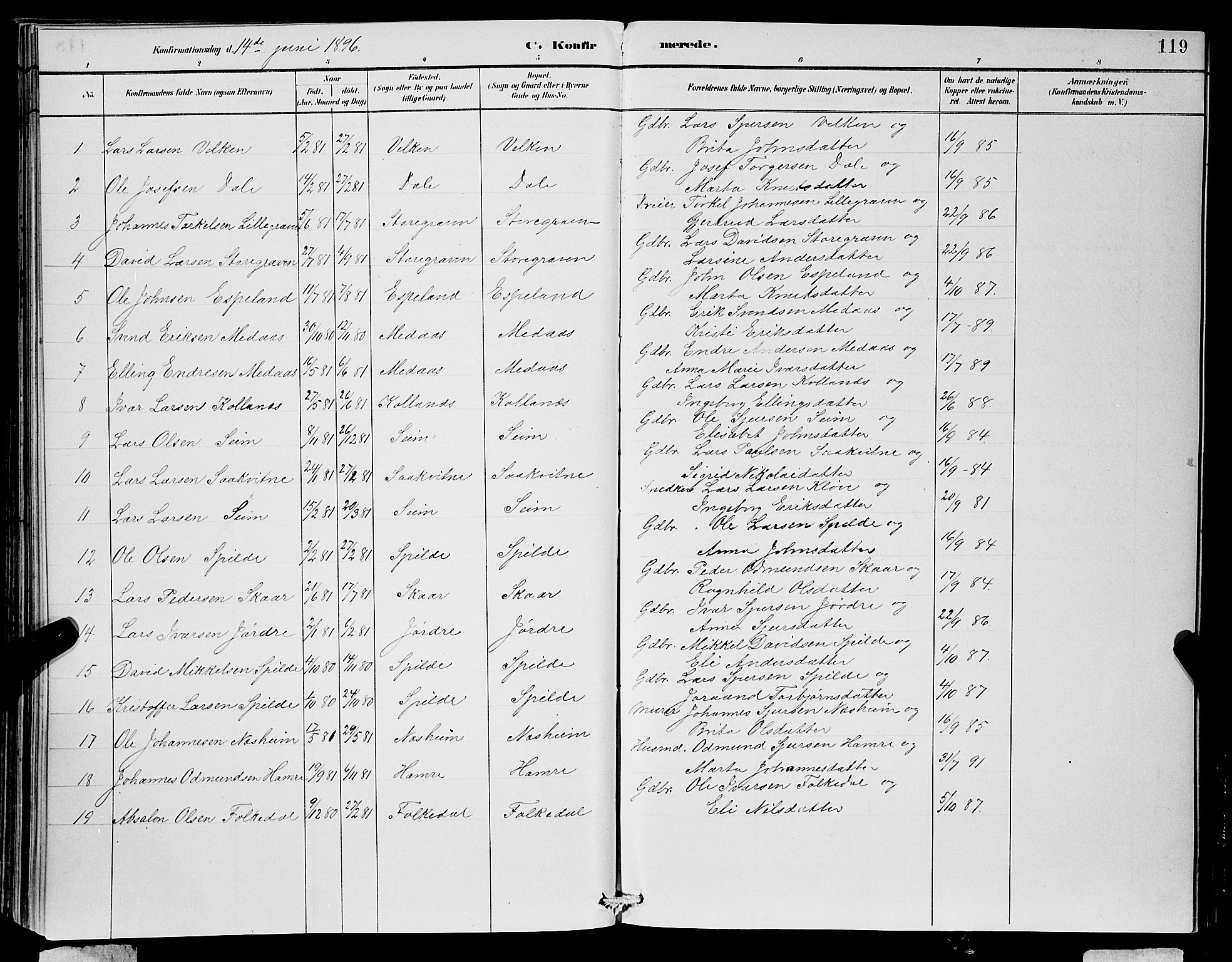 Ulvik sokneprestembete, SAB/A-78801/H/Hab: Parish register (copy) no. B 3, 1884-1901, p. 119