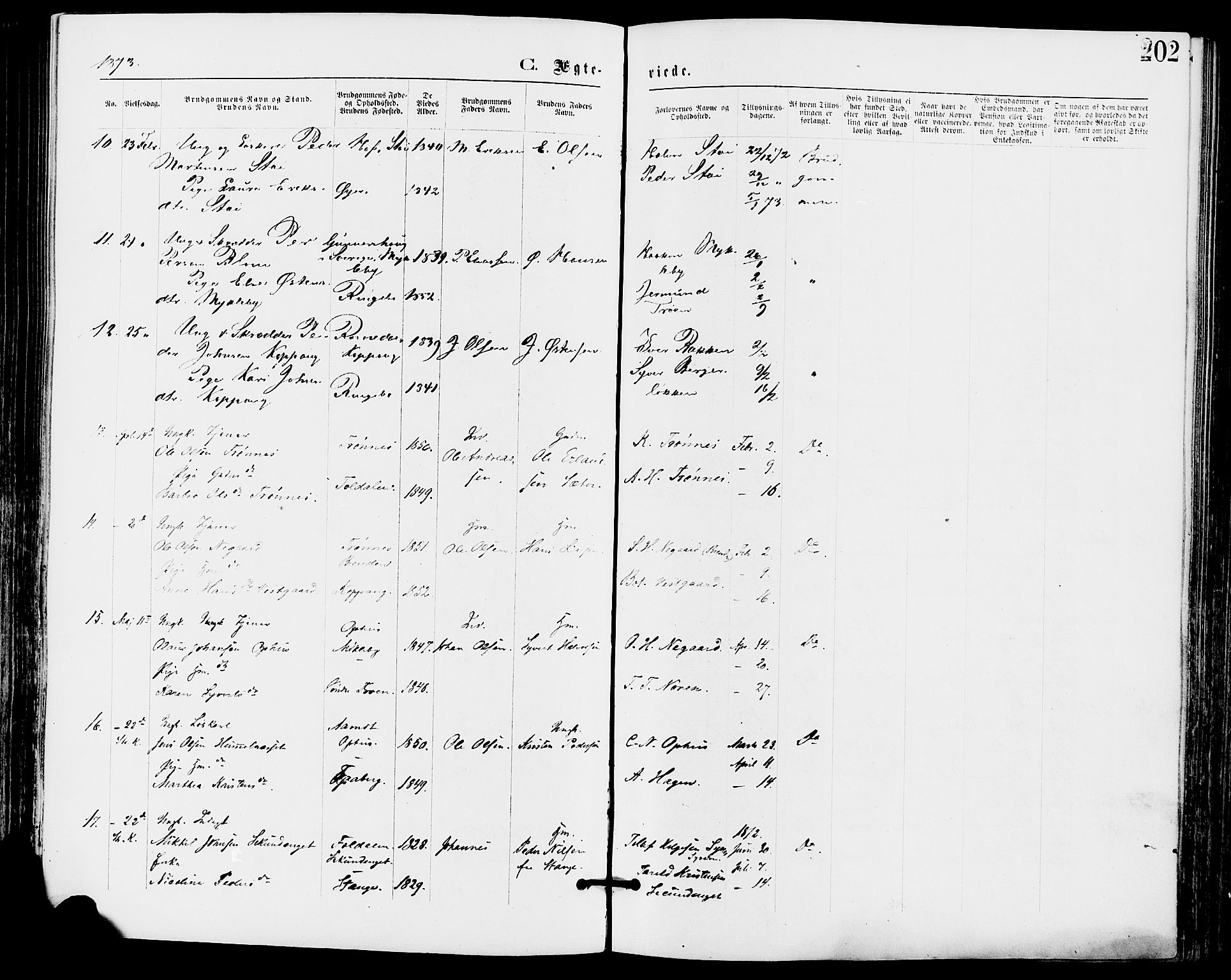 Stor-Elvdal prestekontor, AV/SAH-PREST-052/H/Ha/Haa/L0001: Parish register (official) no. 1, 1871-1882, p. 202