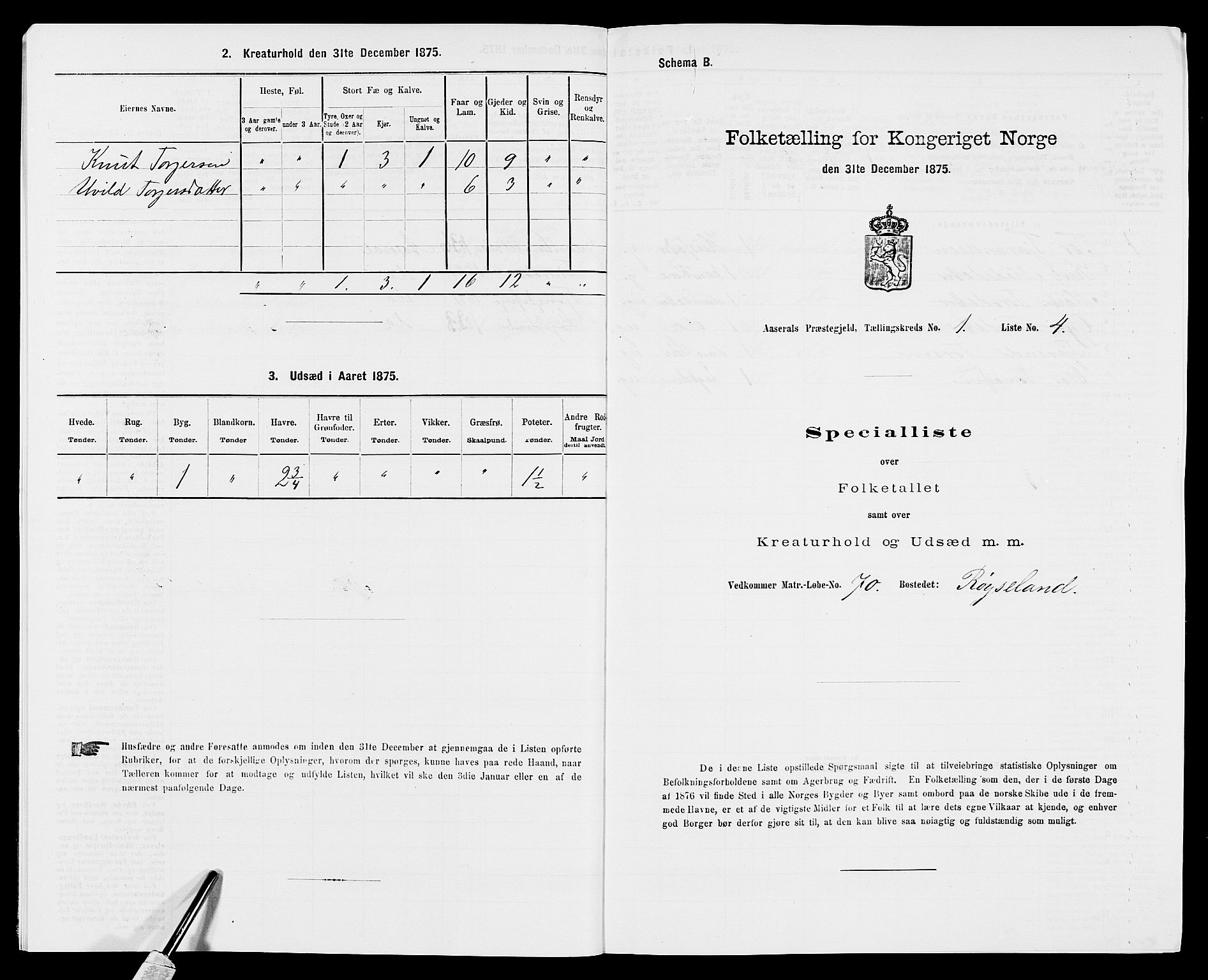 SAK, 1875 census for 0980P Åseral, 1875, p. 36