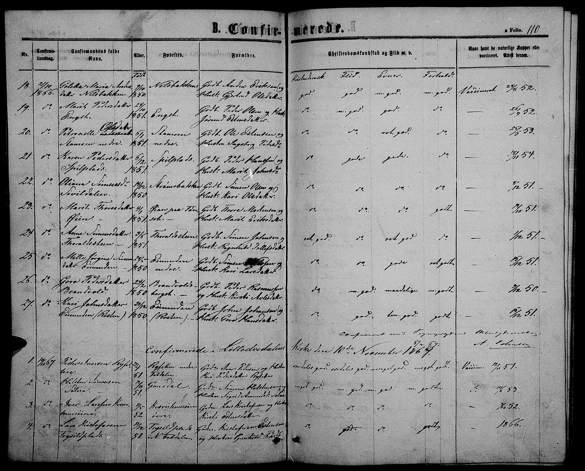 Alvdal prestekontor, SAH/PREST-060/H/Ha/Hab/L0002: Parish register (copy) no. 2, 1863-1878, p. 110