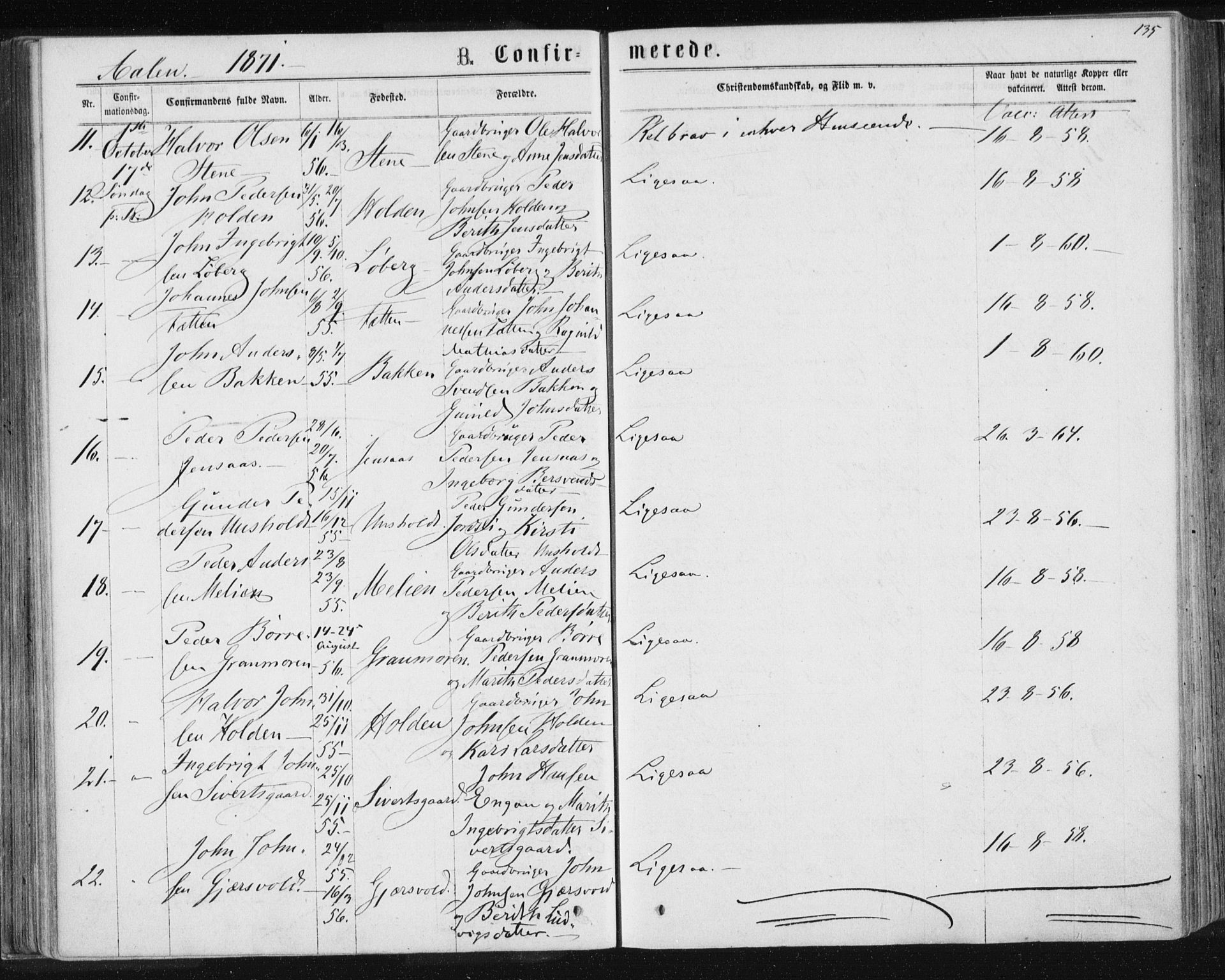 Ministerialprotokoller, klokkerbøker og fødselsregistre - Sør-Trøndelag, AV/SAT-A-1456/685/L0971: Parish register (official) no. 685A08 /3, 1870-1879, p. 135