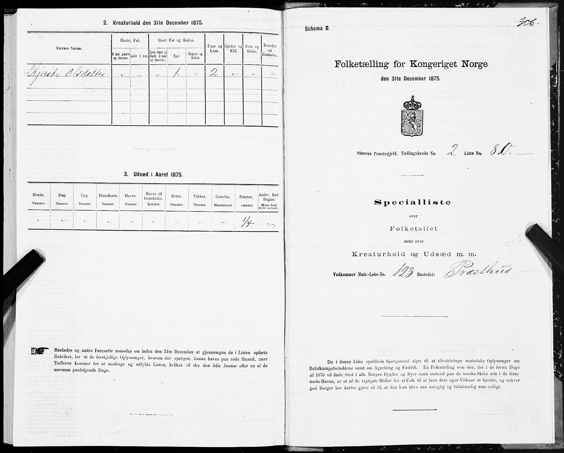 SAT, 1875 census for 1648P Støren, 1875, p. 7306