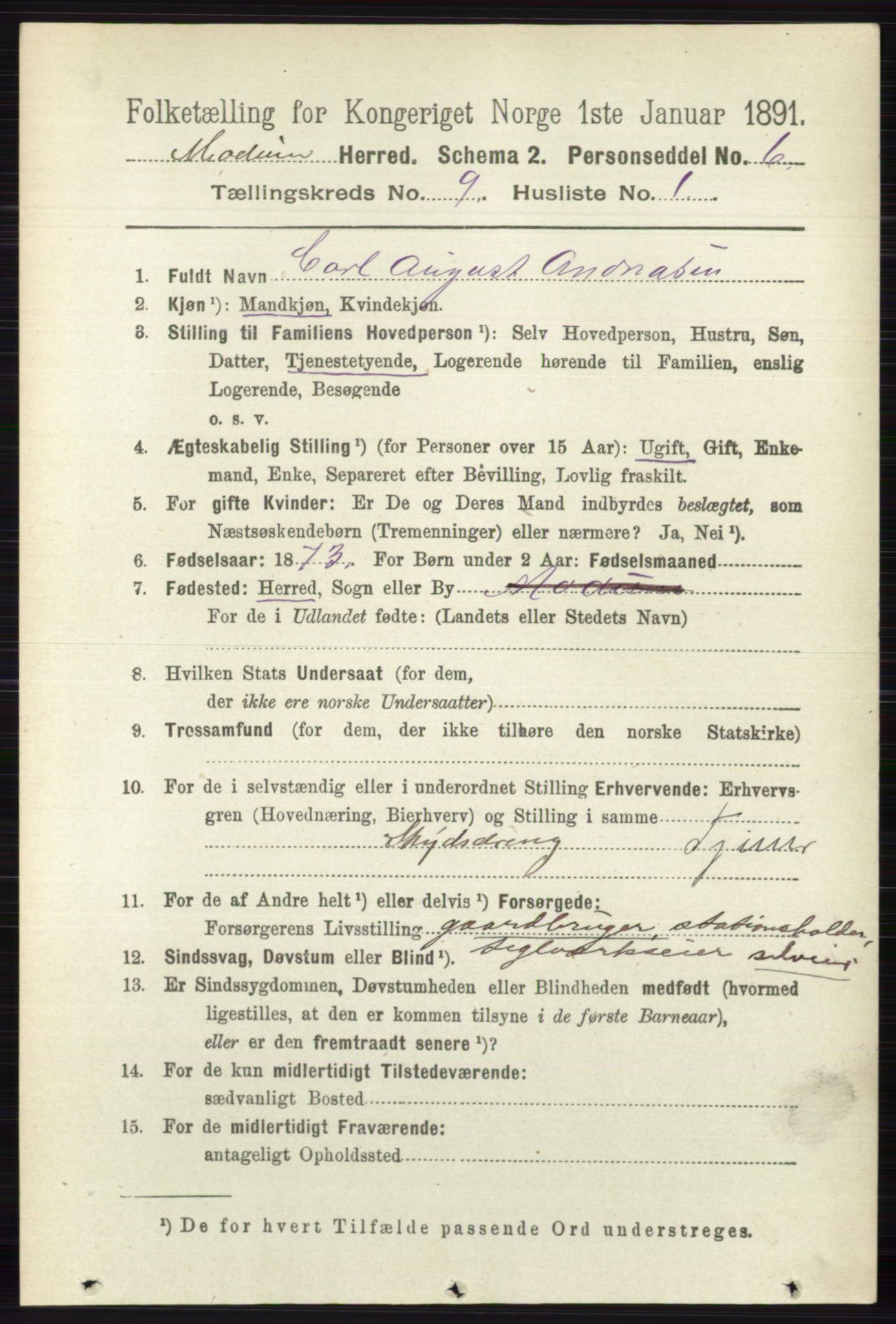 RA, 1891 census for 0623 Modum, 1891, p. 3460