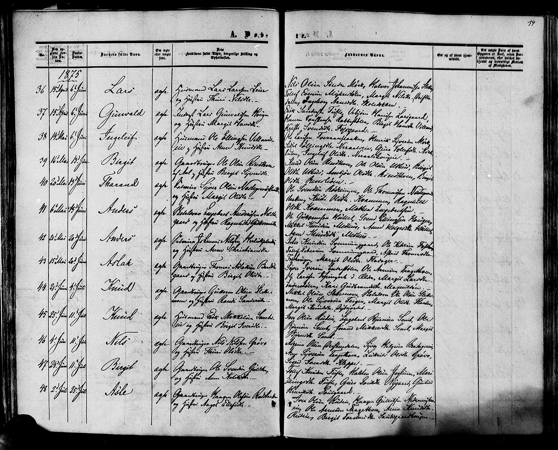 Hol kirkebøker, AV/SAKO-A-227/F/Fa/L0002: Parish register (official) no. I 2, 1870-1886, p. 34