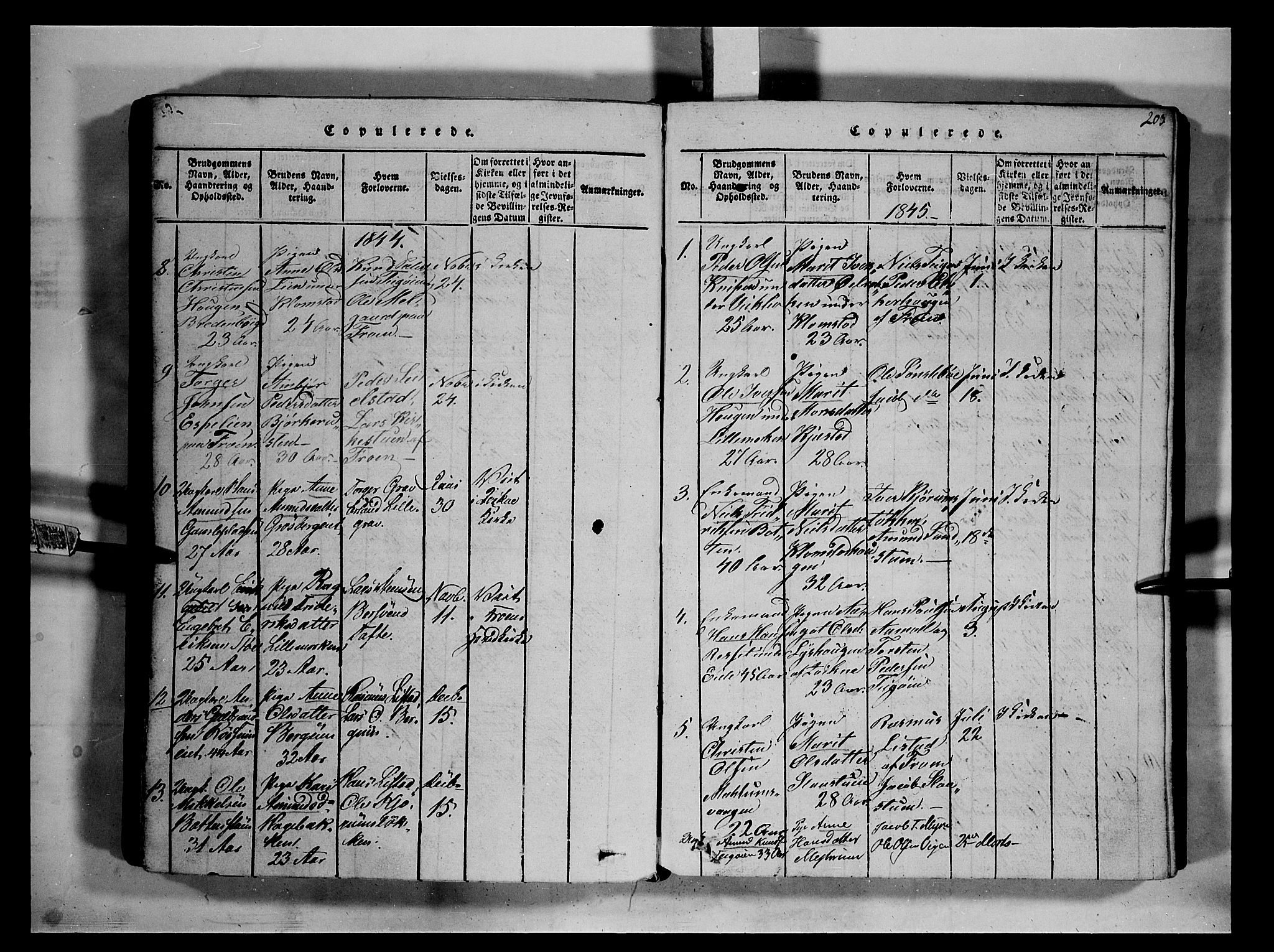 Fron prestekontor, SAH/PREST-078/H/Ha/Hab/L0002: Parish register (copy) no. 2, 1816-1850, p. 203