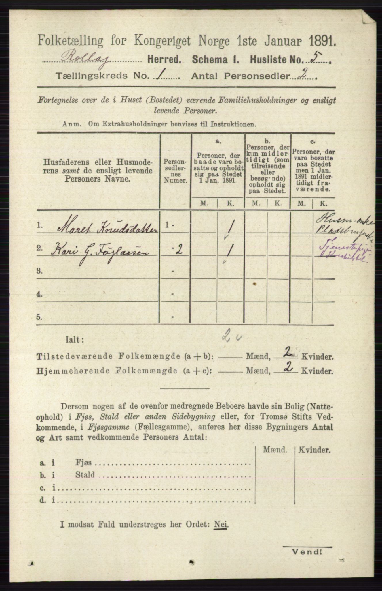 RA, 1891 census for 0632 Rollag, 1891, p. 21