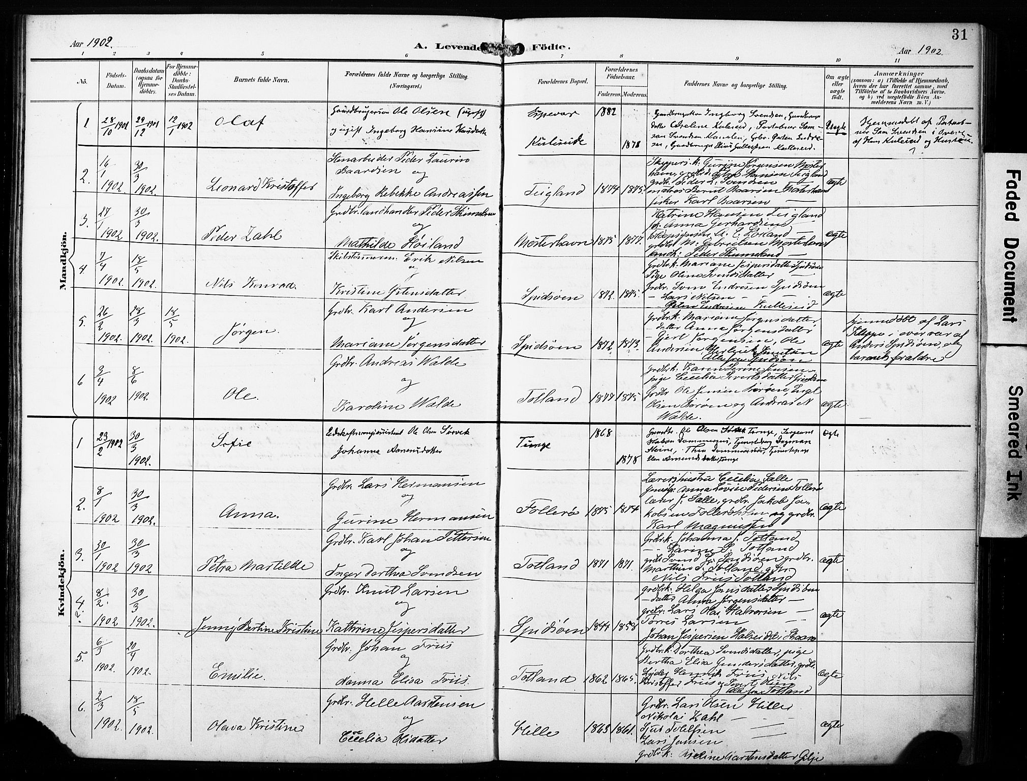 Finnås sokneprestembete, SAB/A-99925/H/Ha/Haa/Haab/L0002: Parish register (official) no. B 2, 1895-1906, p. 31