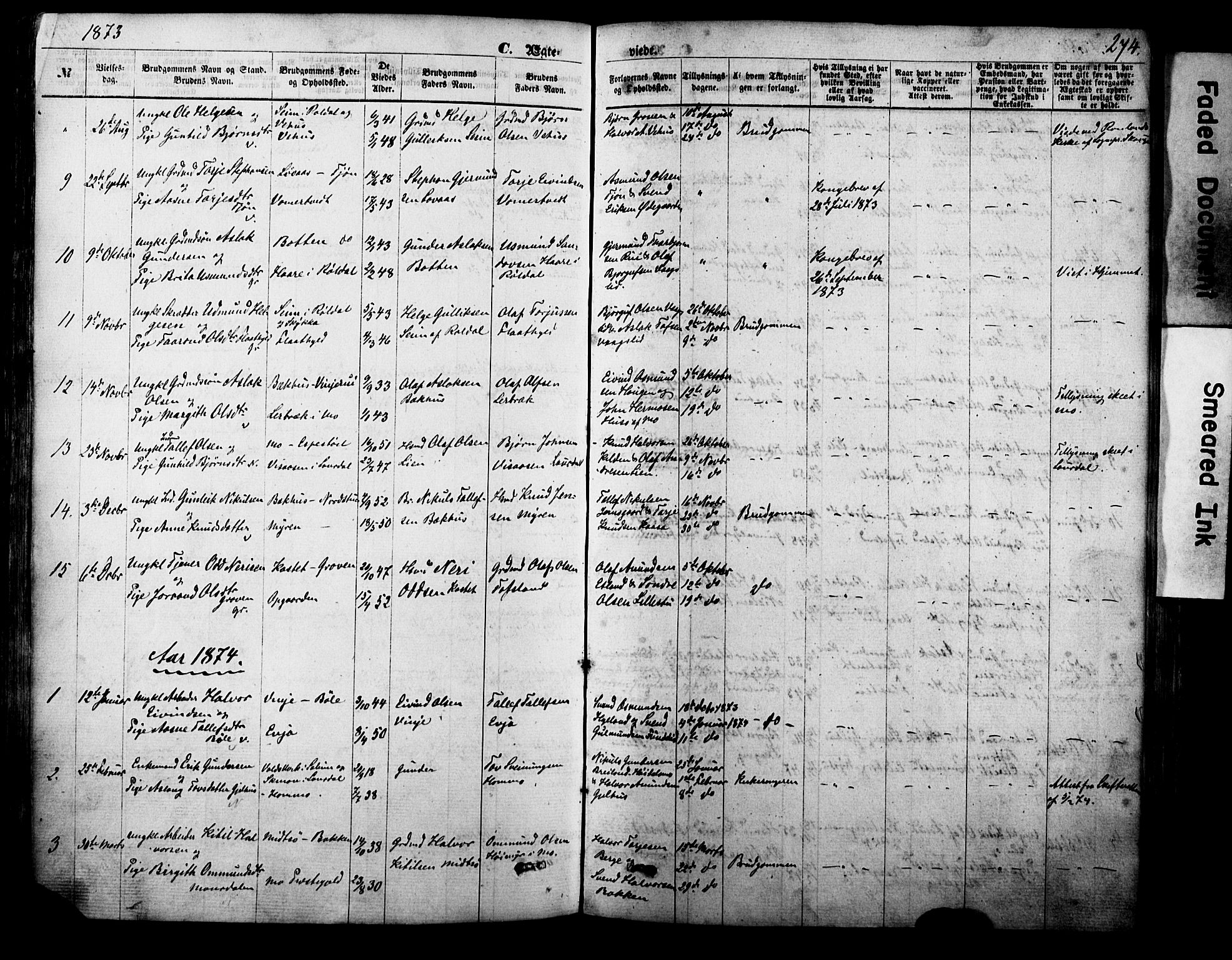 Vinje kirkebøker, SAKO/A-312/F/Fa/L0005: Parish register (official) no. I 5, 1870-1886, p. 274