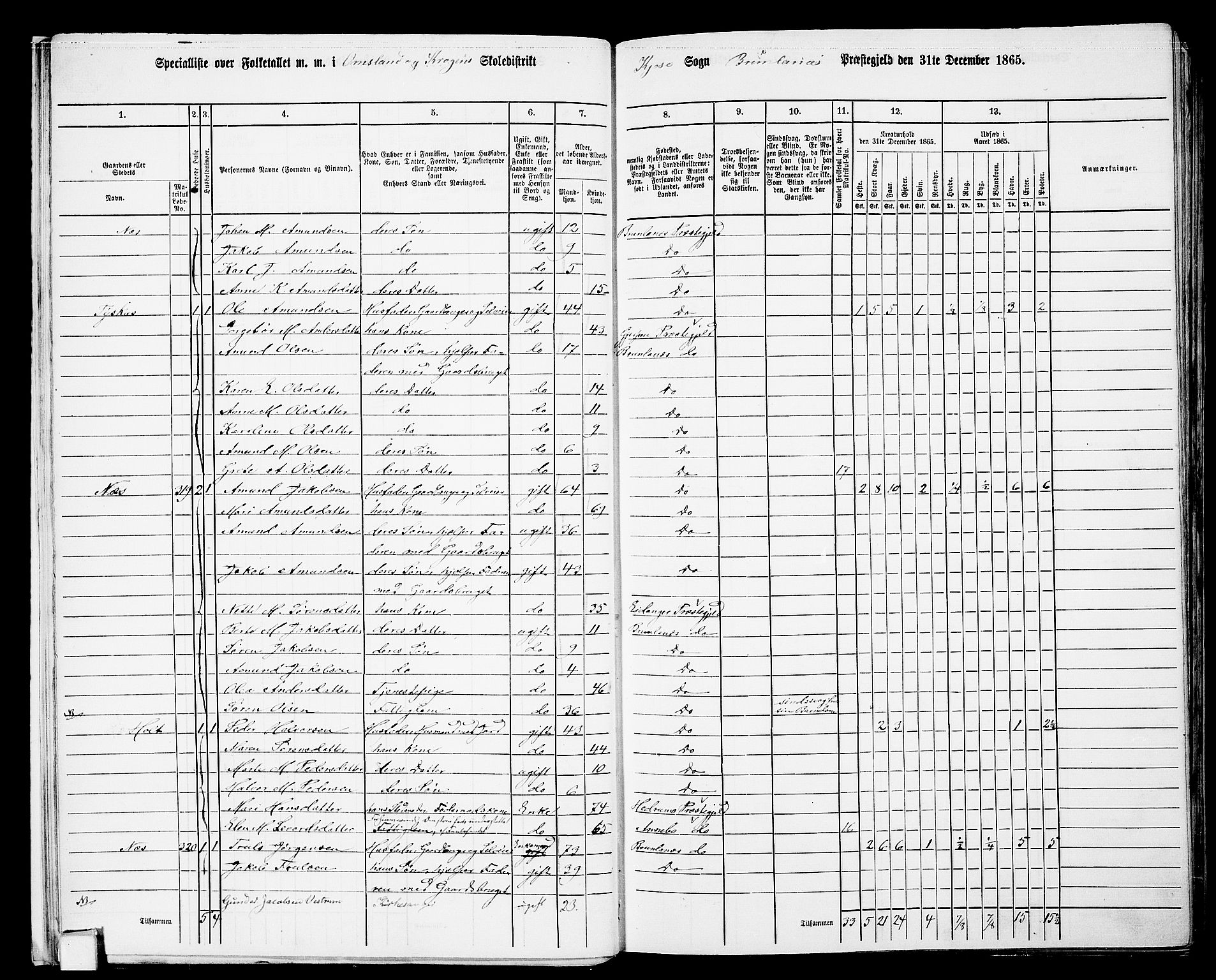 RA, 1865 census for Brunlanes, 1865, p. 19