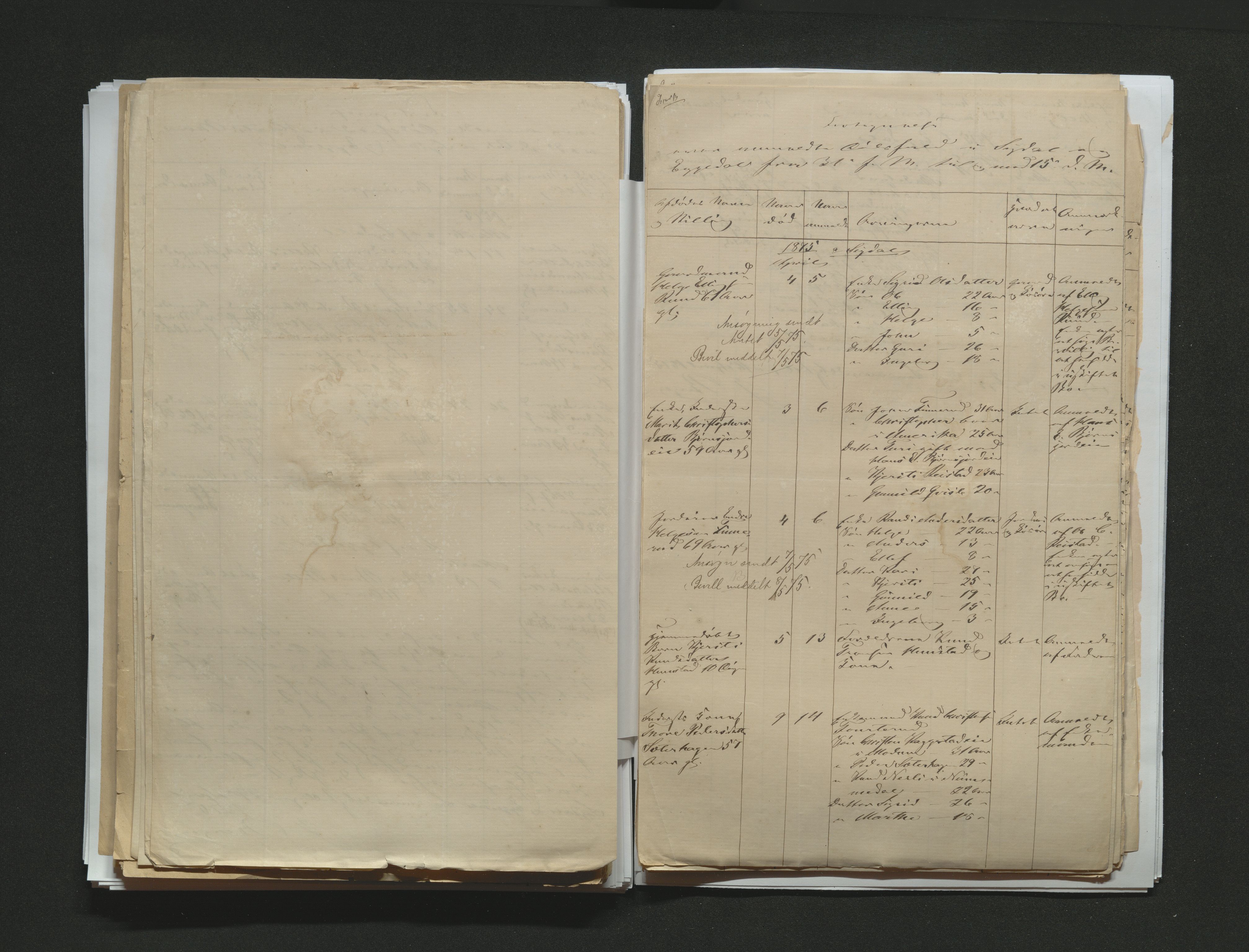 Eiker, Modum og Sigdal sorenskriveri, AV/SAKO-A-123/H/Ha/Hab/L0014: Dødsfallsmeldinger, 1874-1877, p. 290