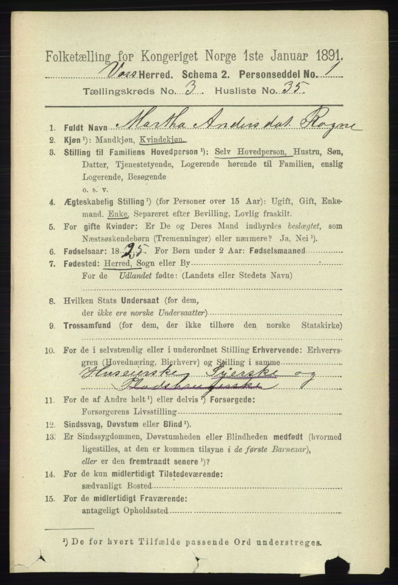 RA, 1891 census for 1235 Voss, 1891, p. 1395