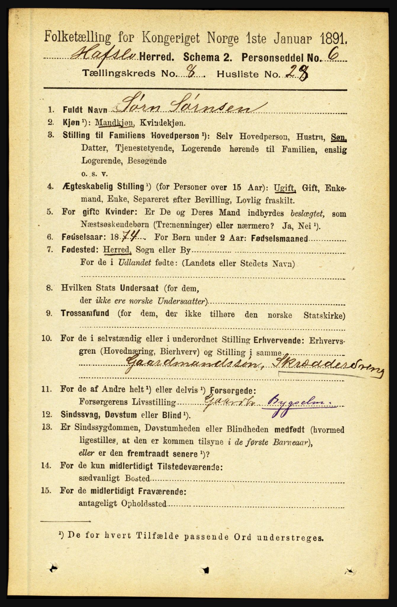 RA, 1891 census for 1425 Hafslo, 1891, p. 3316