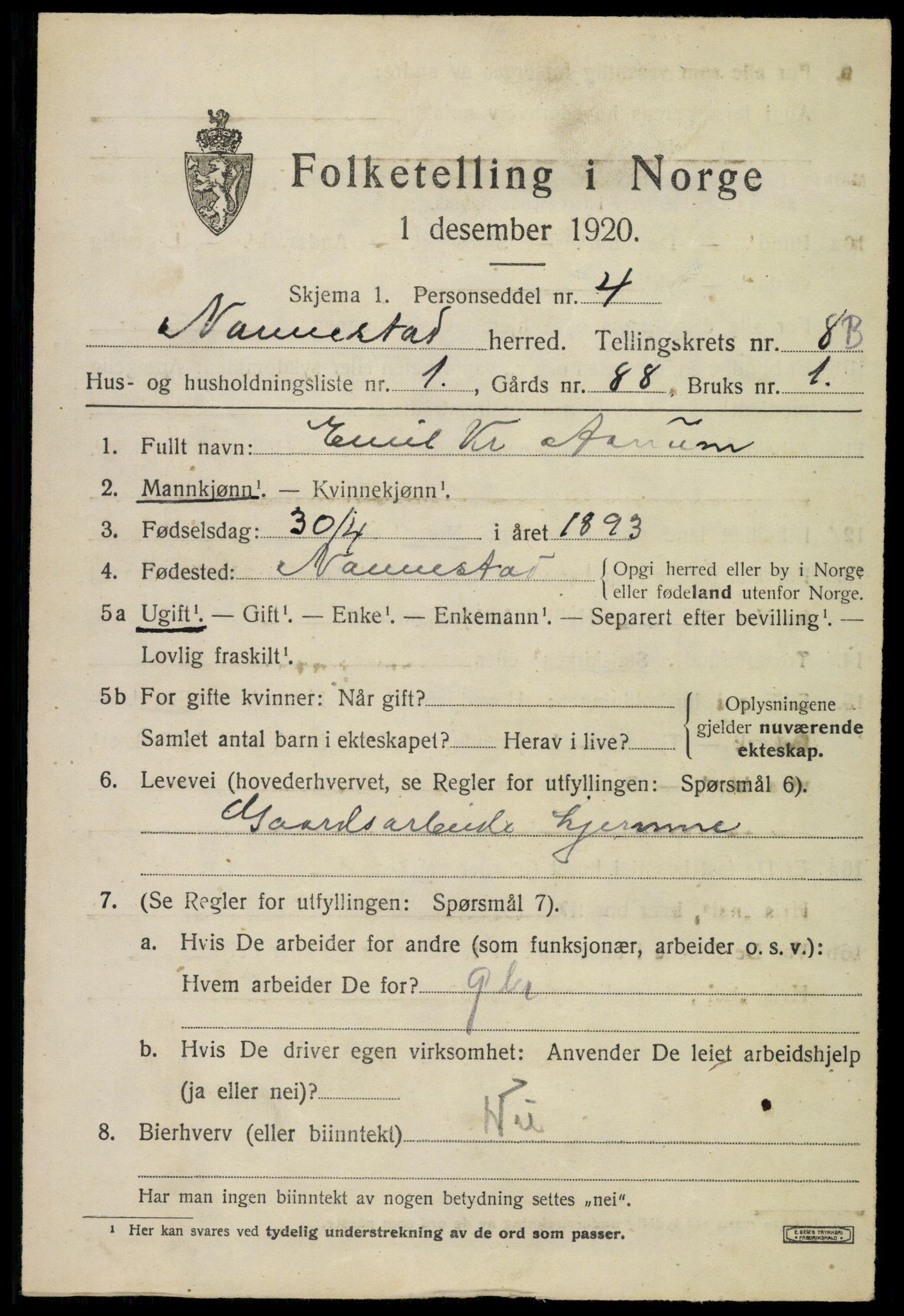 SAO, 1920 census for Nannestad, 1920, p. 9596