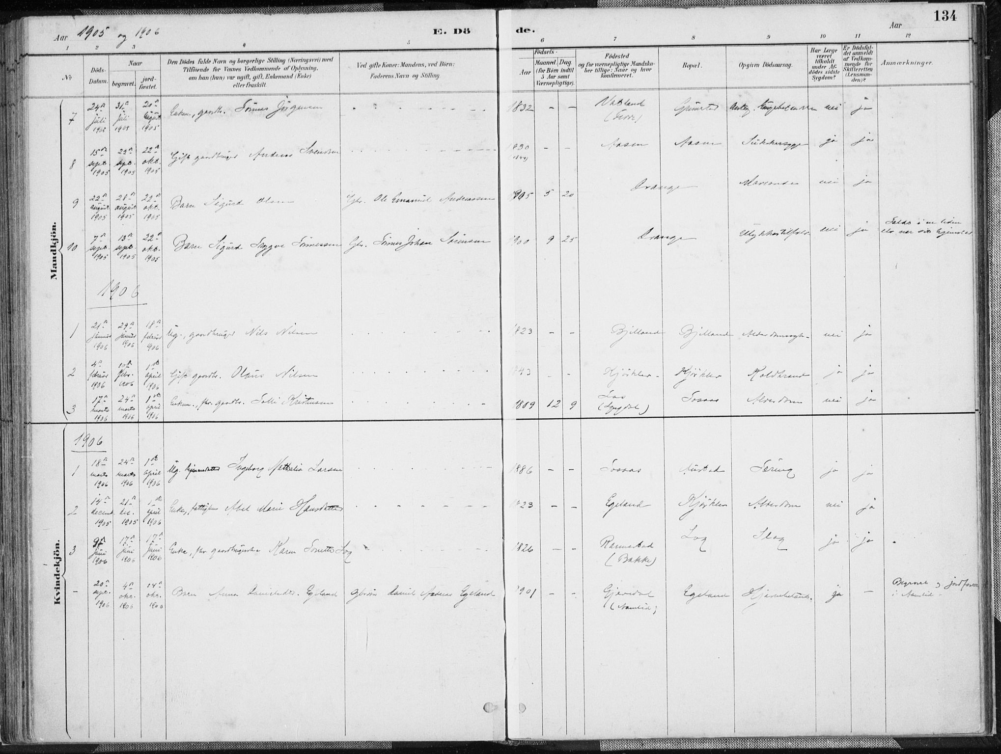 Herad sokneprestkontor, SAK/1111-0018/F/Fa/Faa/L0006: Parish register (official) no. A 6, 1887-1907, p. 134