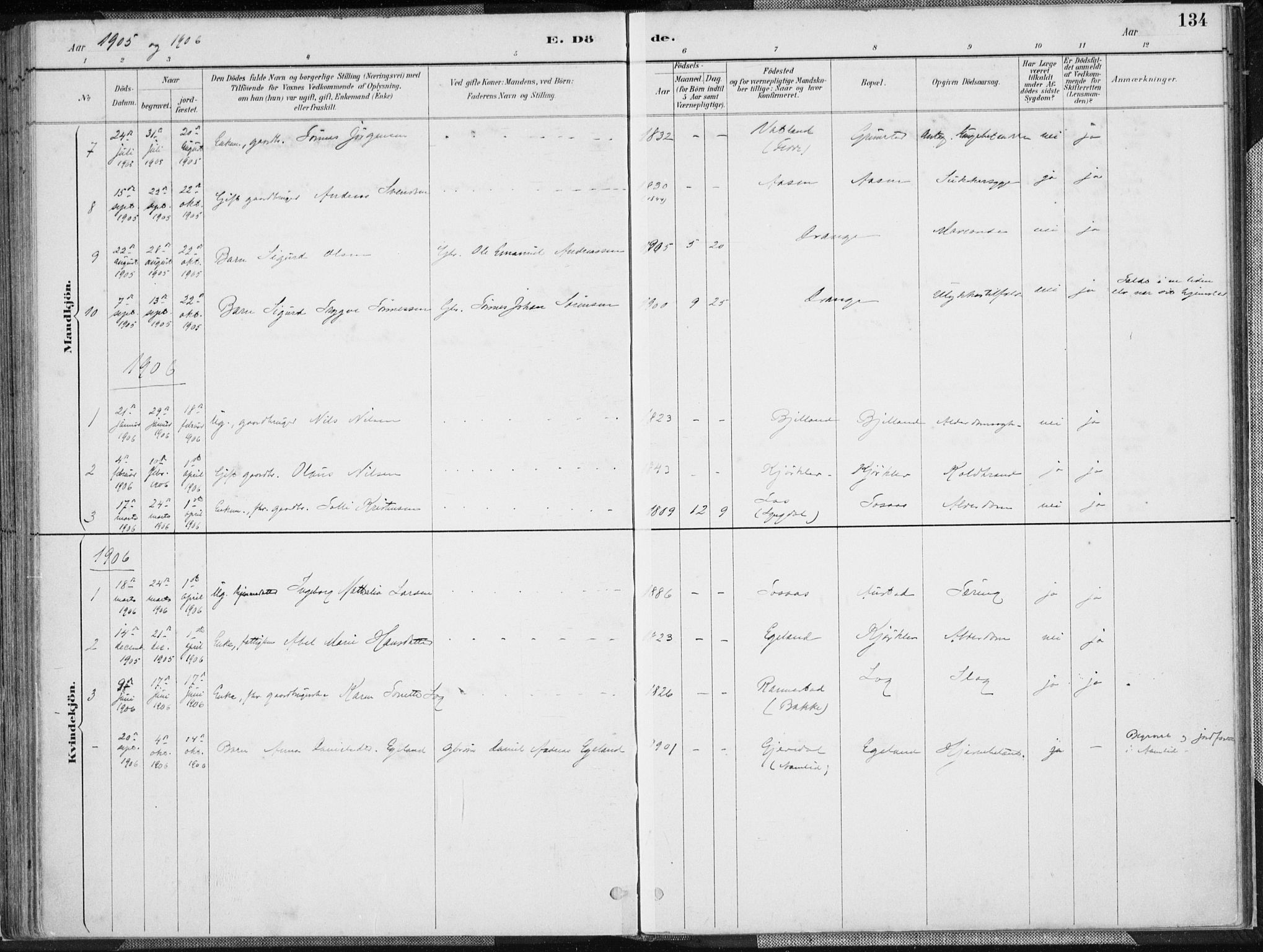 Herad sokneprestkontor, AV/SAK-1111-0018/F/Fa/Faa/L0006: Parish register (official) no. A 6, 1887-1907, p. 134