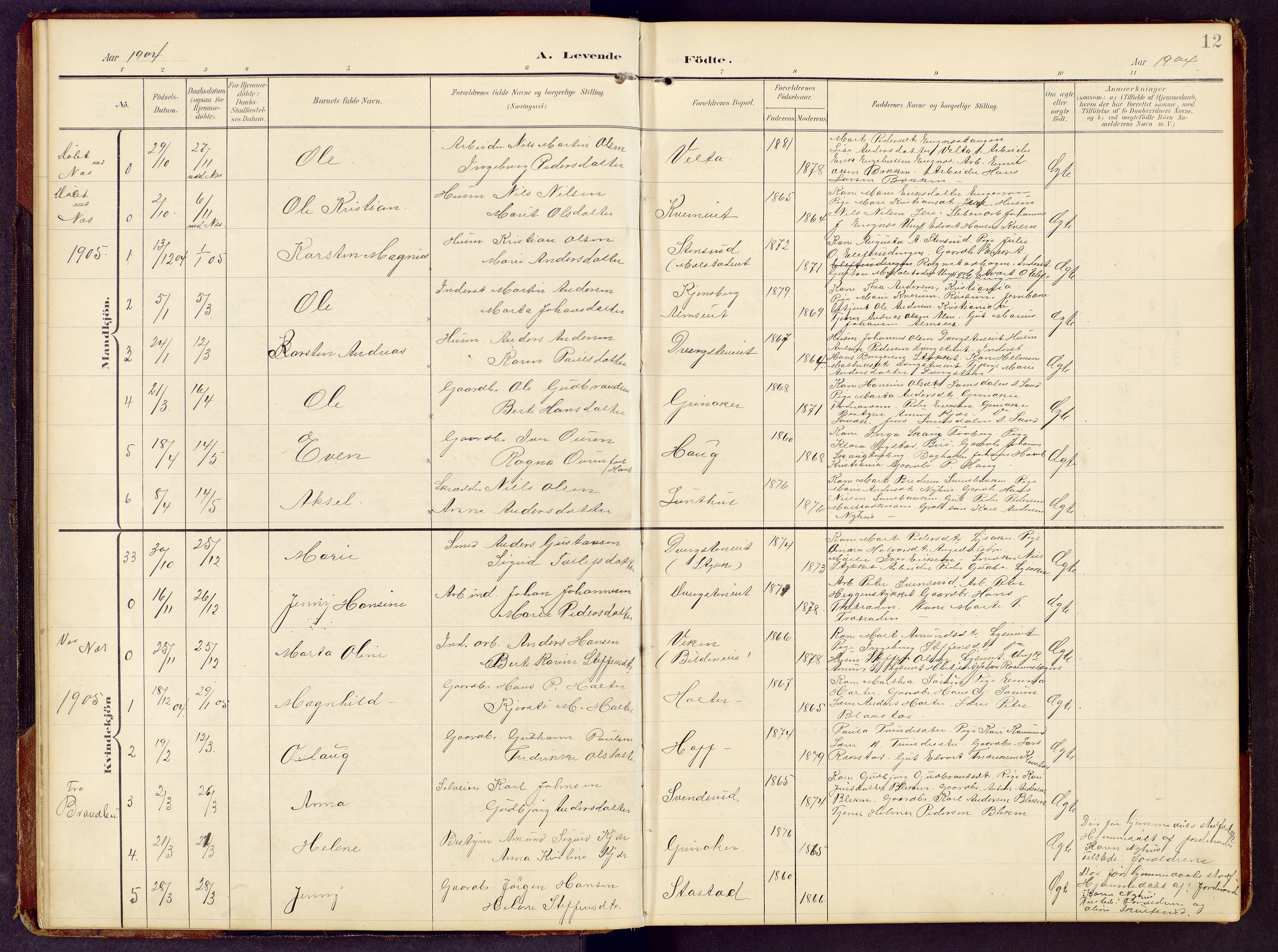 Brandbu prestekontor, SAH/PREST-114/H/Ha/Hab/L0009: Parish register (copy) no. 9, 1903-1916, p. 12