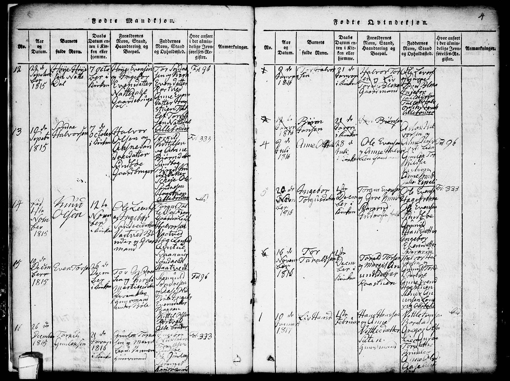 Seljord kirkebøker, SAKO/A-20/G/Gb/L0002: Parish register (copy) no. II 2, 1815-1854, p. 4